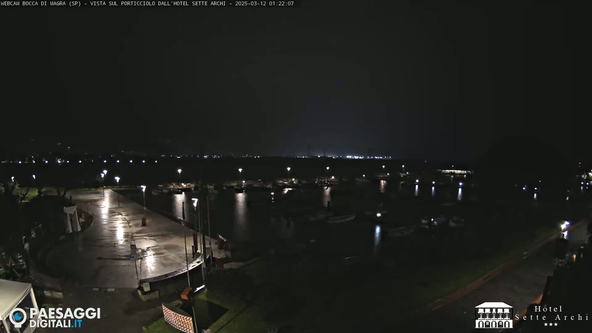 A nighttime view of a harbor filled with boats, a wet paved area, and some surrounding trees under a dark sky.