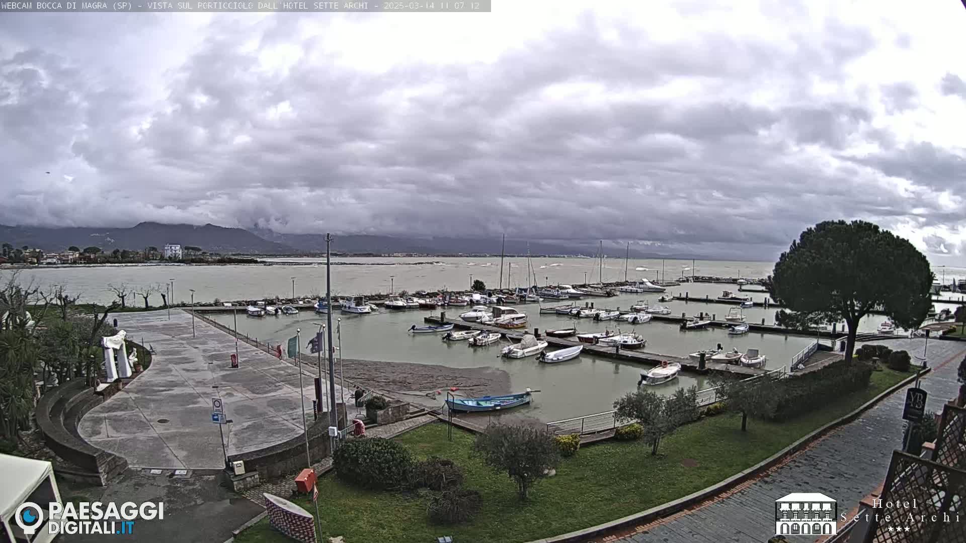 A marina filled with numerous boats is situated near a paved plaza and green landscaping, all under a cloudy sky.