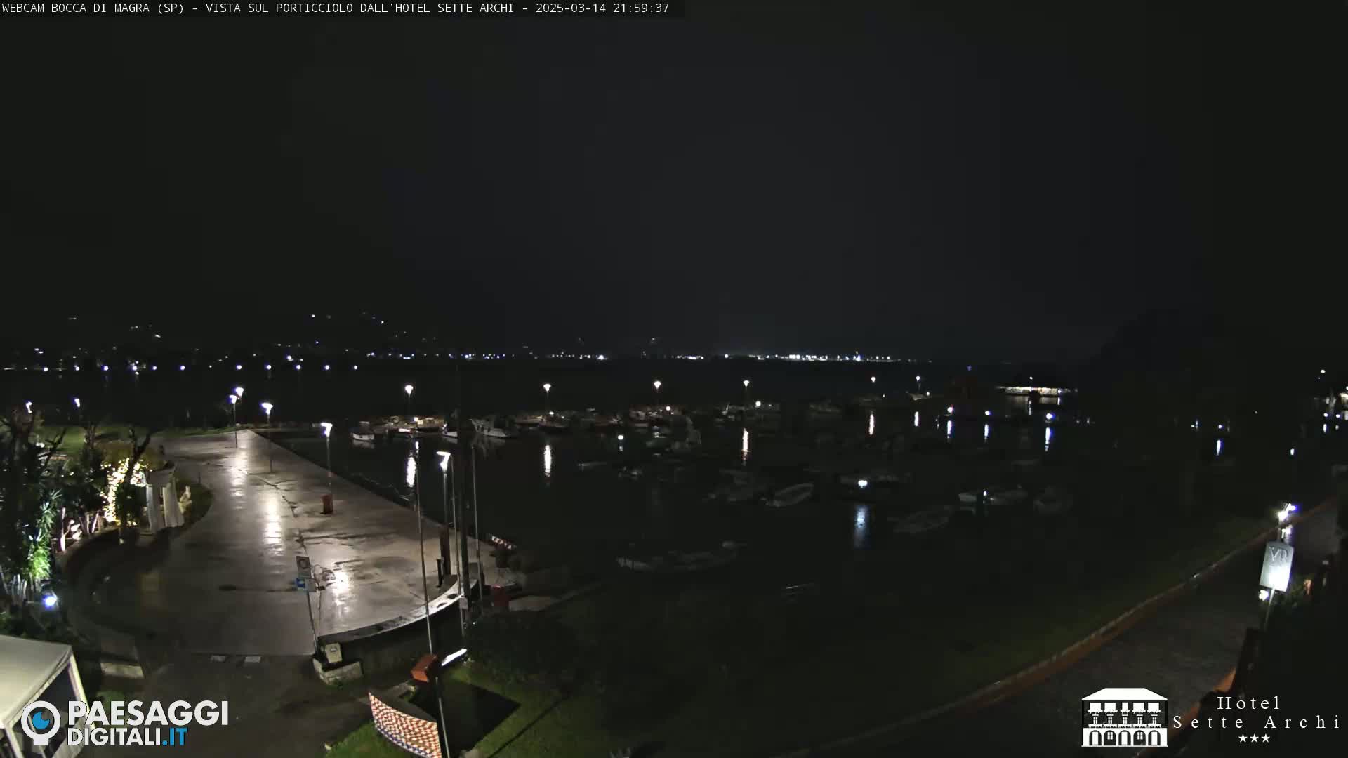 A nighttime view of a harbor filled with boats, a paved area with lights, and surrounding dark vegetation under a clear, dark sky.
