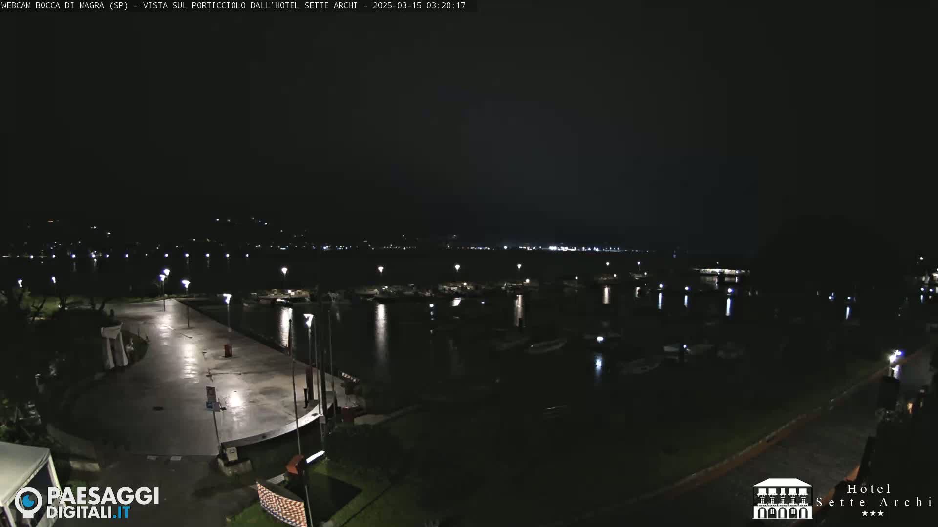 A nighttime view of a harbor filled with boats, a paved area with streetlights, and a dark shoreline under a clear, dark sky.