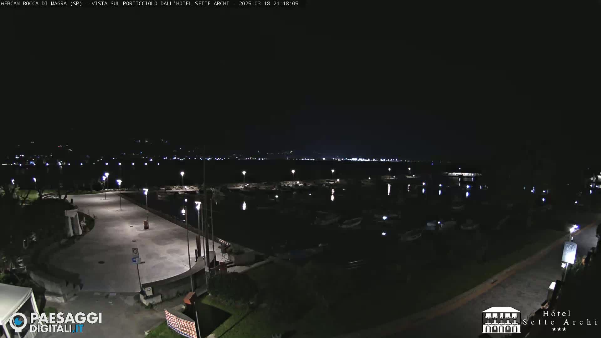 A nighttime view of a marina with numerous boats docked, illuminated by streetlights, under a clear, dark sky.