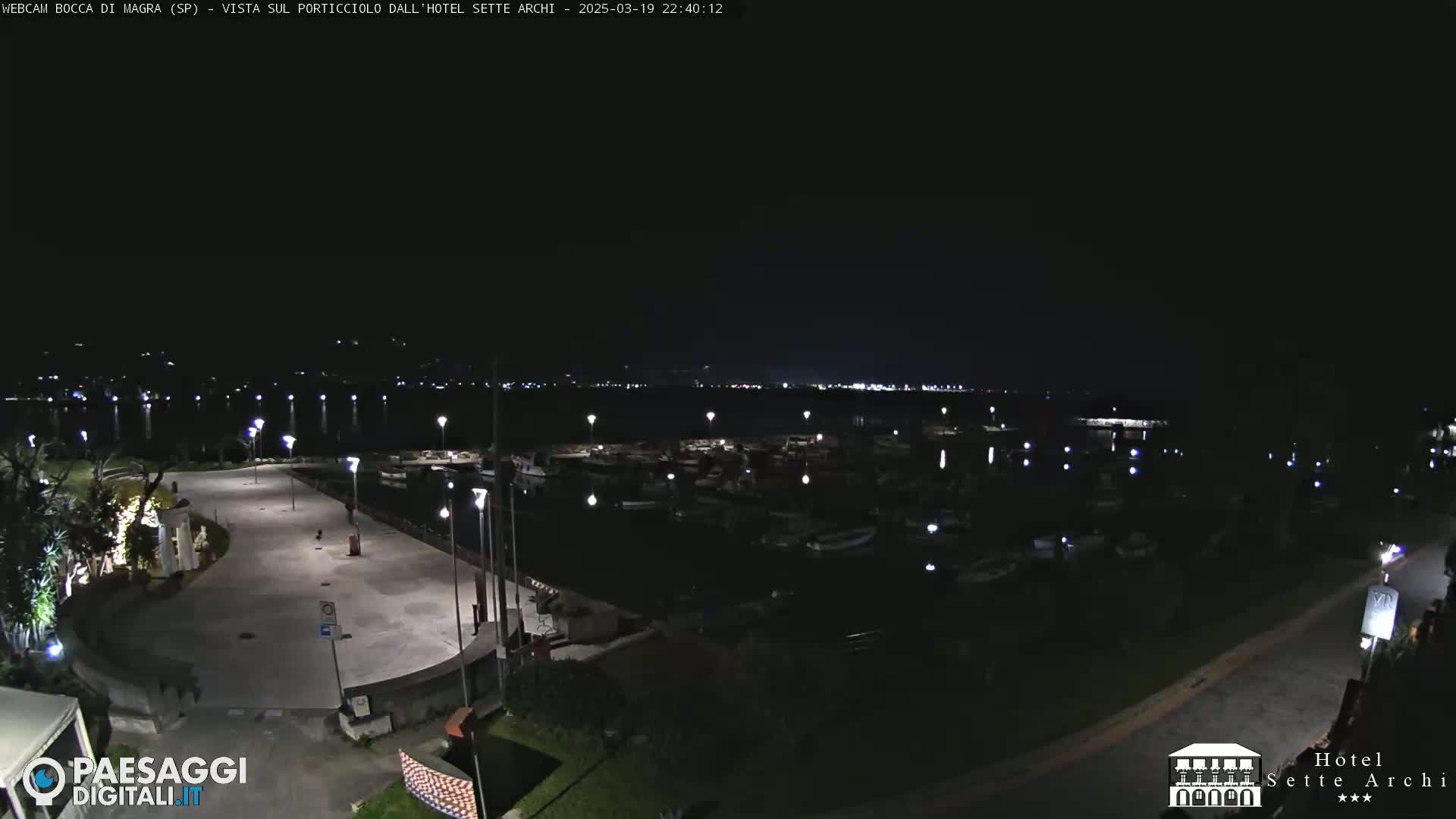 A nighttime view of a harbor filled with boats, illuminated by lights, with a paved area and some vegetation in the foreground.