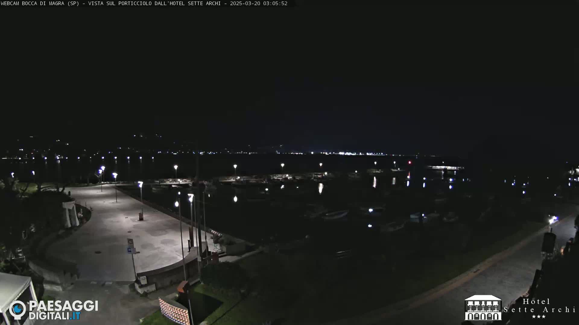 A nighttime view of a marina with boats and a paved walkway, lit by streetlights under a clear, dark sky.