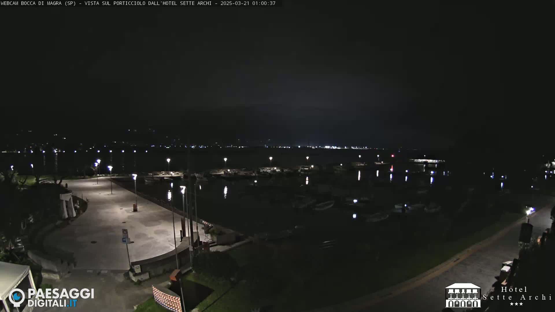 A nighttime view of a harbor filled with boats, a paved area, and some vegetation, under a dark sky.