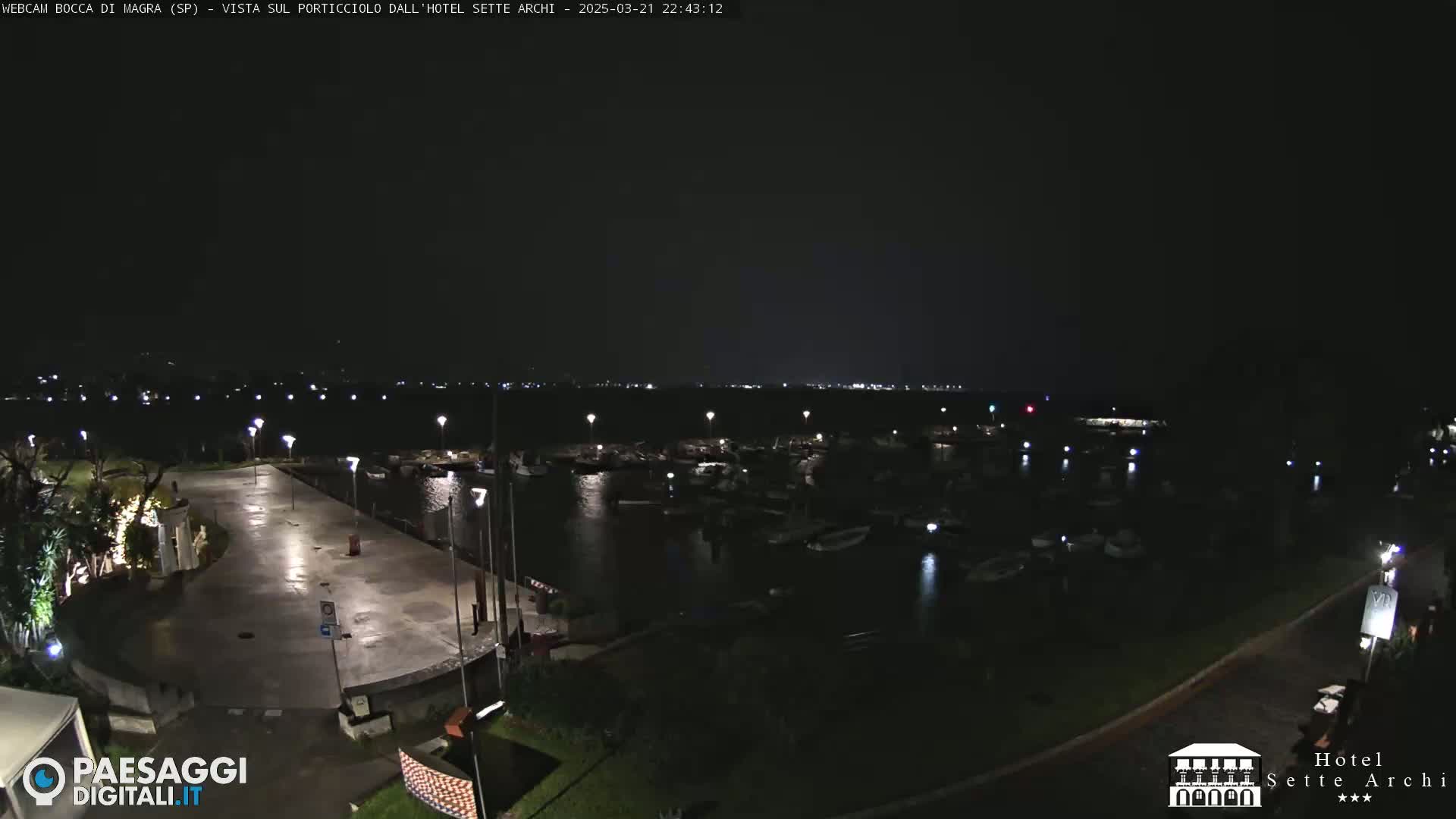 A nighttime view of a harbor filled with boats, a paved area, and surrounding trees under a dark sky.