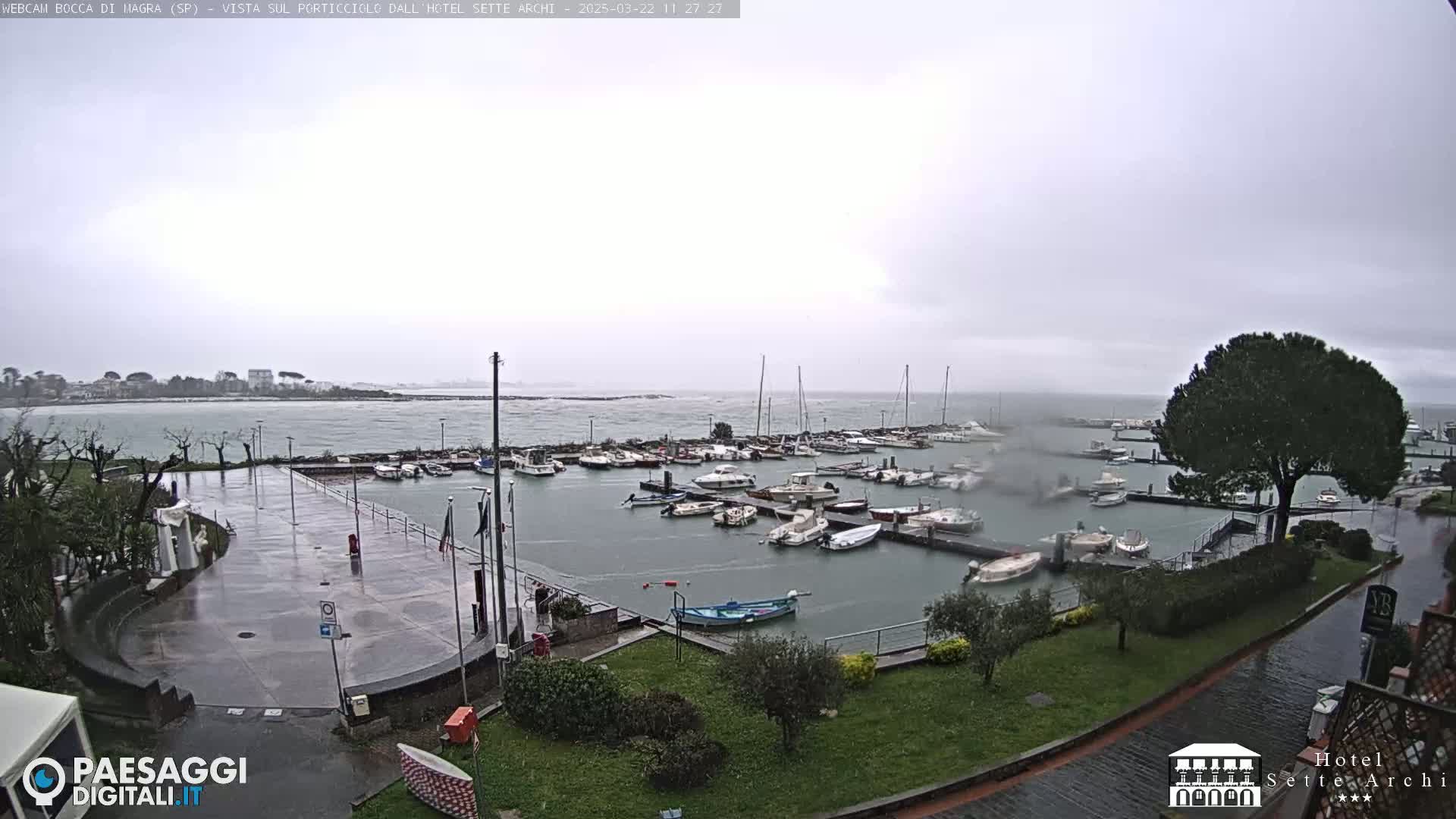 A wet, overcast day at a marina with numerous boats in the water and a paved area visible in the foreground.