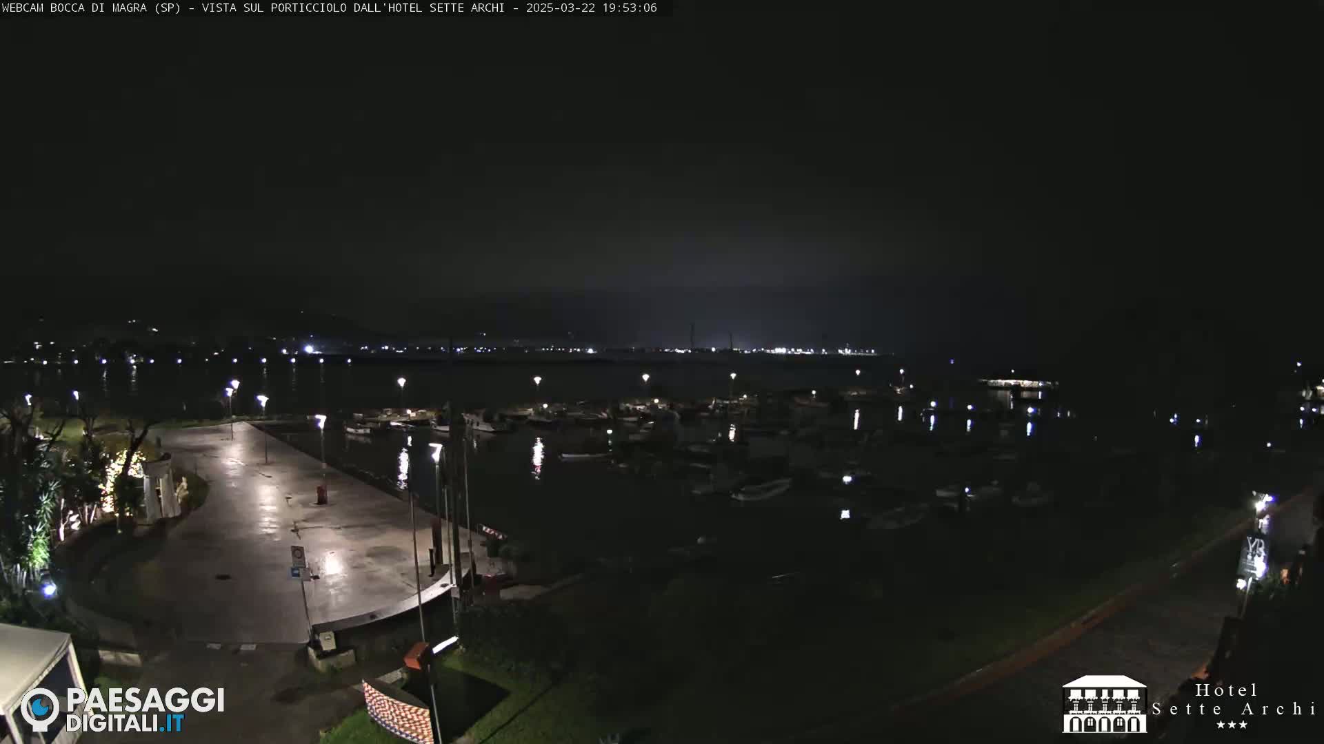 A nighttime view of a harbor filled with boats, adjacent to a paved area and a dark shoreline under a mostly clear sky.