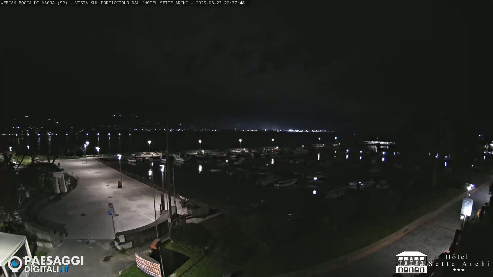 A nighttime view of a marina with numerous boats, a paved area, and surrounding vegetation under a dark sky.