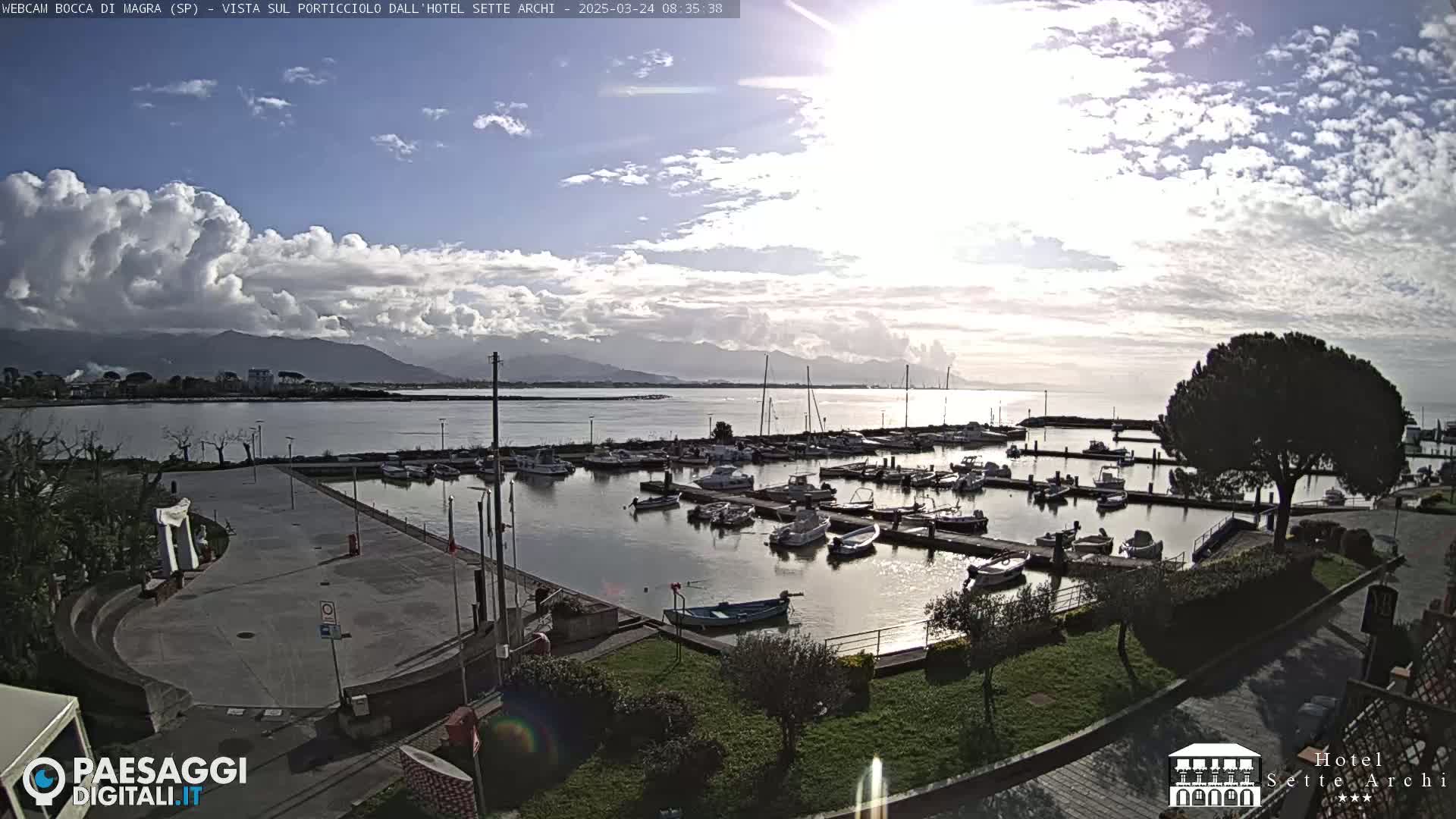 A partly cloudy day shows a marina filled with boats, a paved area, and a large tree, all overlooking a calm body of water and distant mountains.