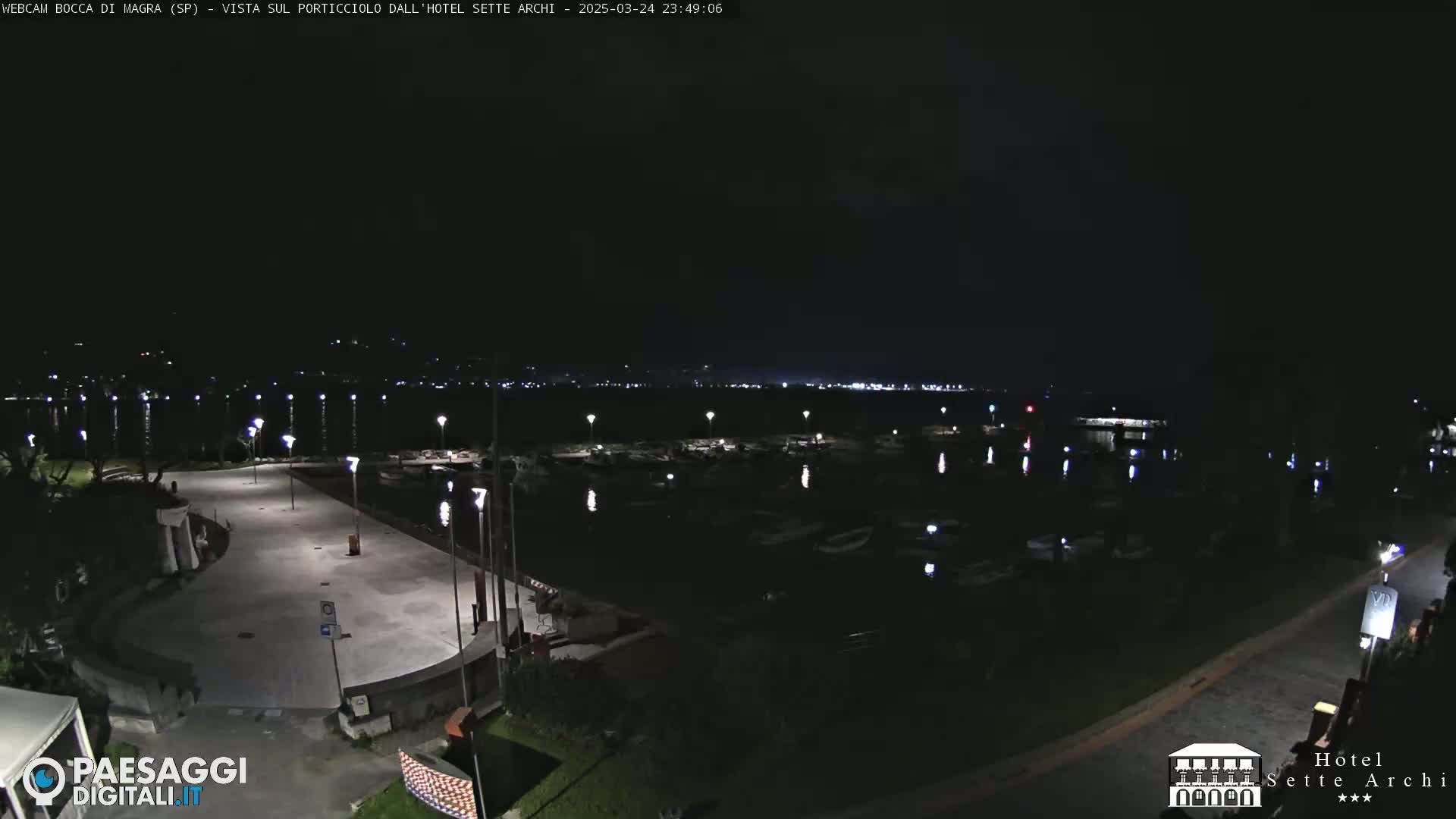 A nighttime view of a harbor filled with boats, adjacent to a paved plaza and a road, under a clear, dark sky.