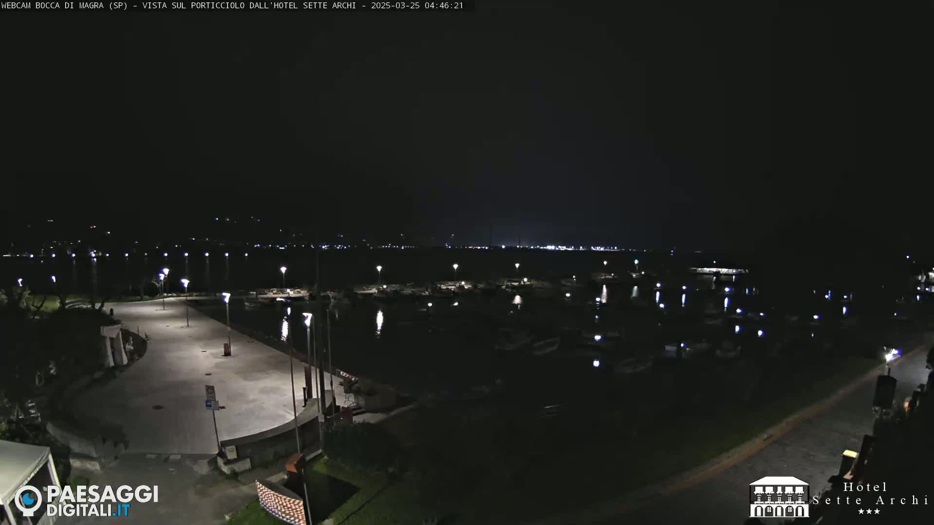 A nighttime view of a marina with many boats docked, a paved area with lights, and a dark sky.