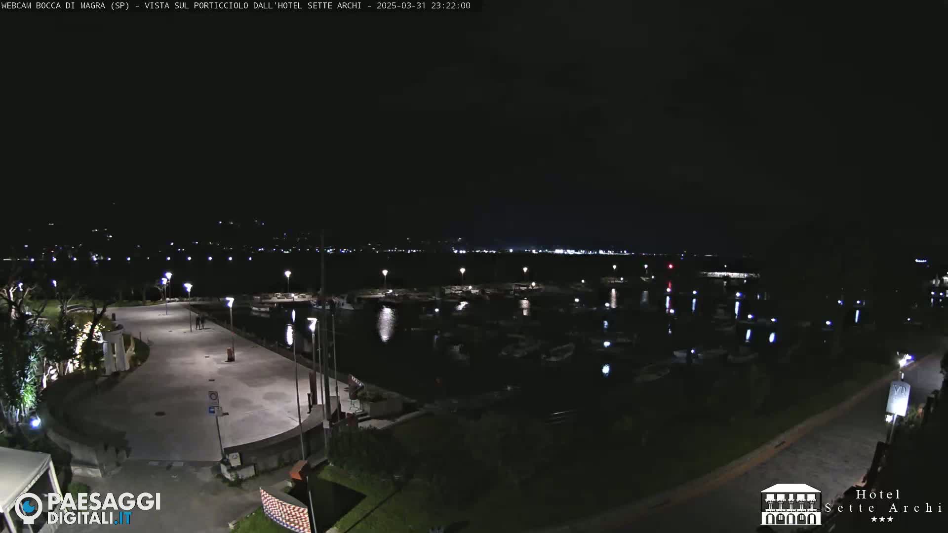 A nighttime view of a marina filled with boats, a paved walkway, and some landscaping, under a clear, dark sky.