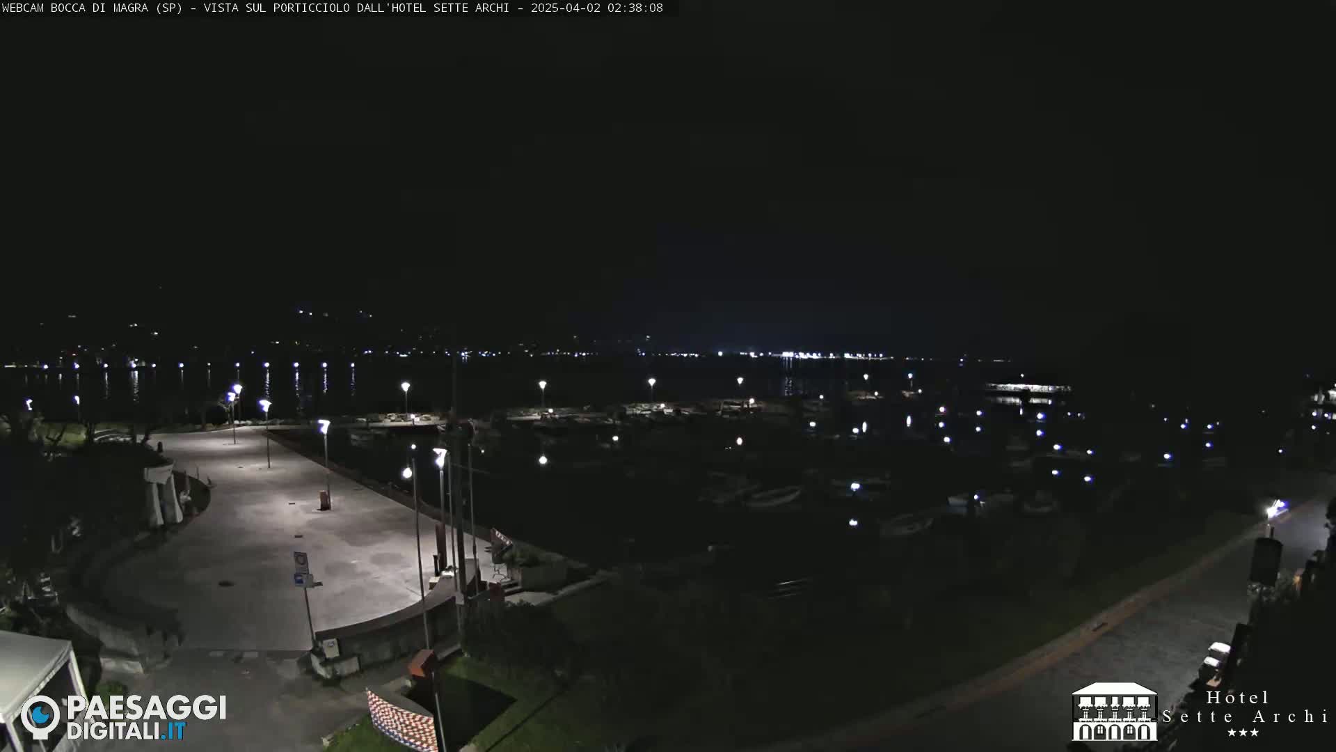 A nighttime view of a harbor filled with boats, a paved area, and streetlights, under a clear, dark sky.