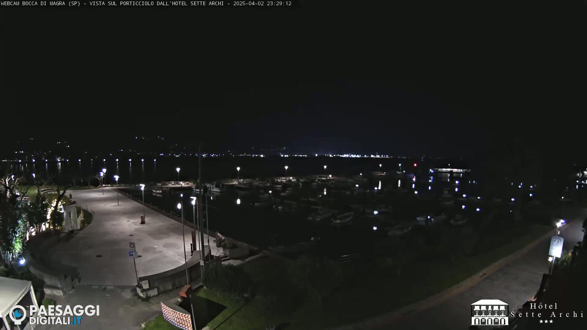 A nighttime view of a marina filled with boats, a paved area with lights, and surrounding greenery under a clear, dark sky.