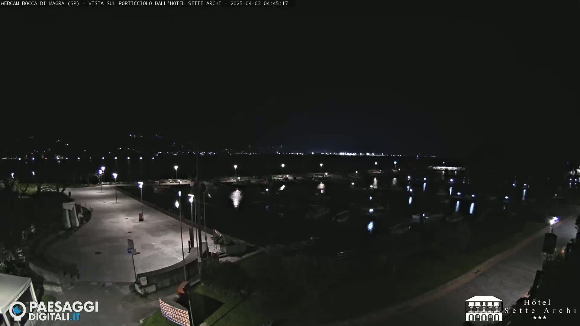 A nighttime view of a marina filled with boats, illuminated by lights, next to a paved area and some vegetation under a clear, dark sky.