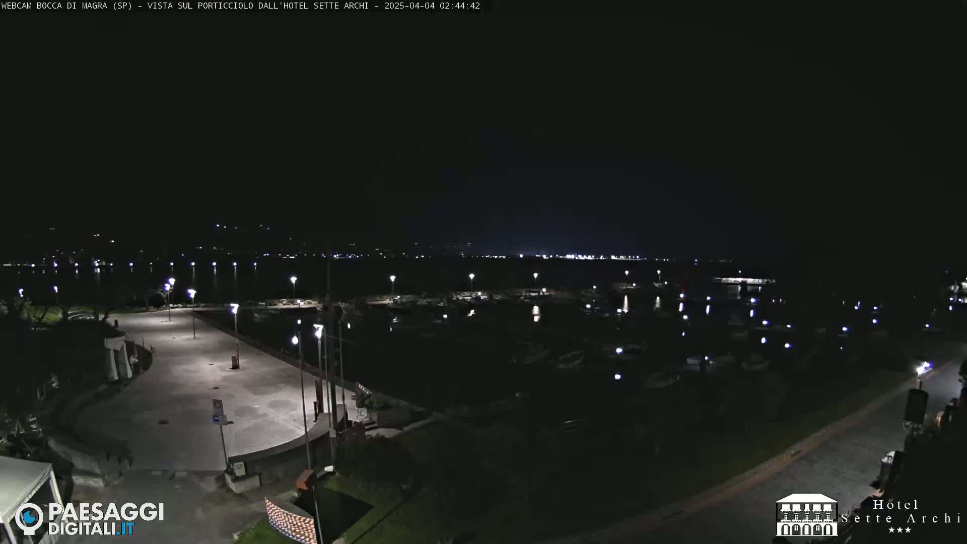 A nighttime view of a harbor filled with boats, a paved area, and some landscaping, under a clear, dark sky.