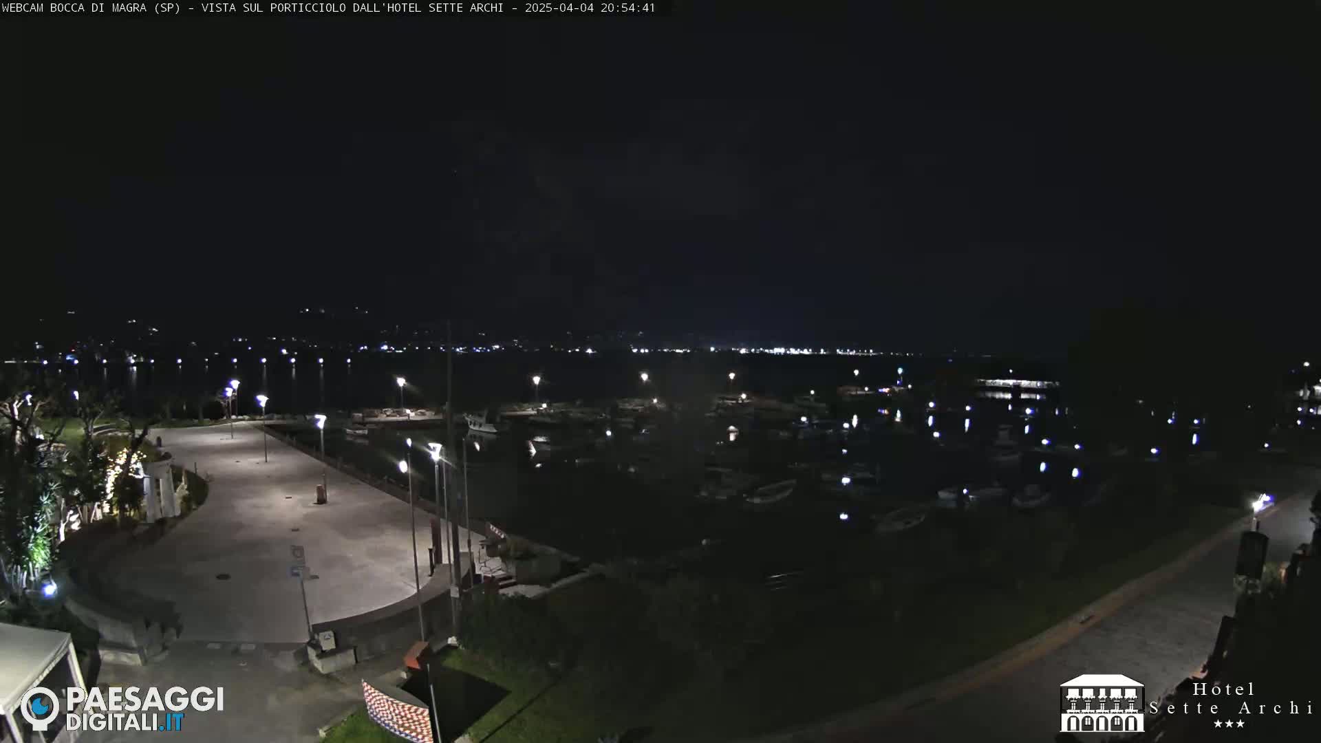 A nighttime view of a harbor filled with boats, a paved waterfront area, and some landscaping, under a clear dark sky.