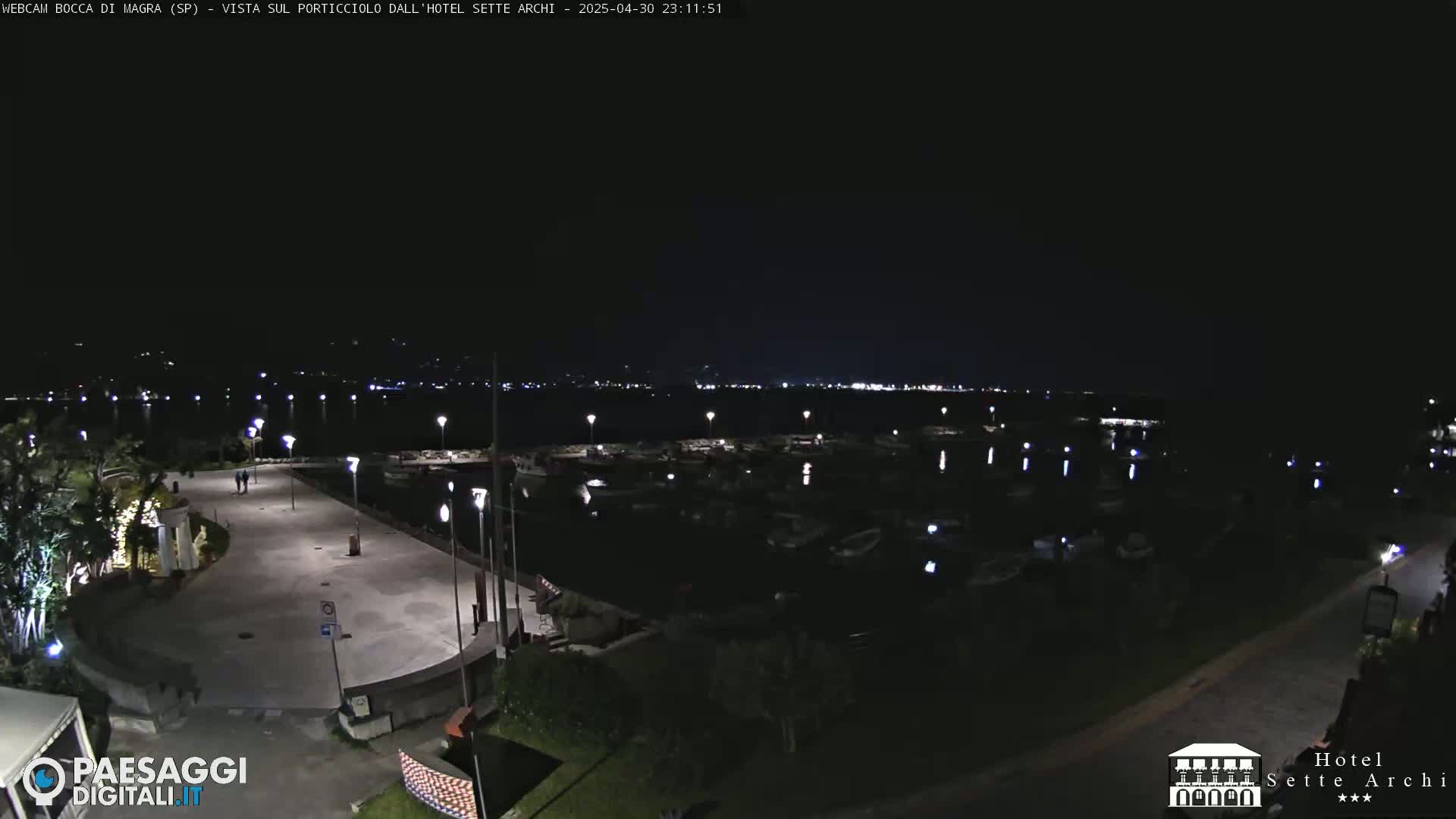 A nighttime view of a harbor filled with boats, a paved walkway, and surrounding vegetation under a clear, dark sky.