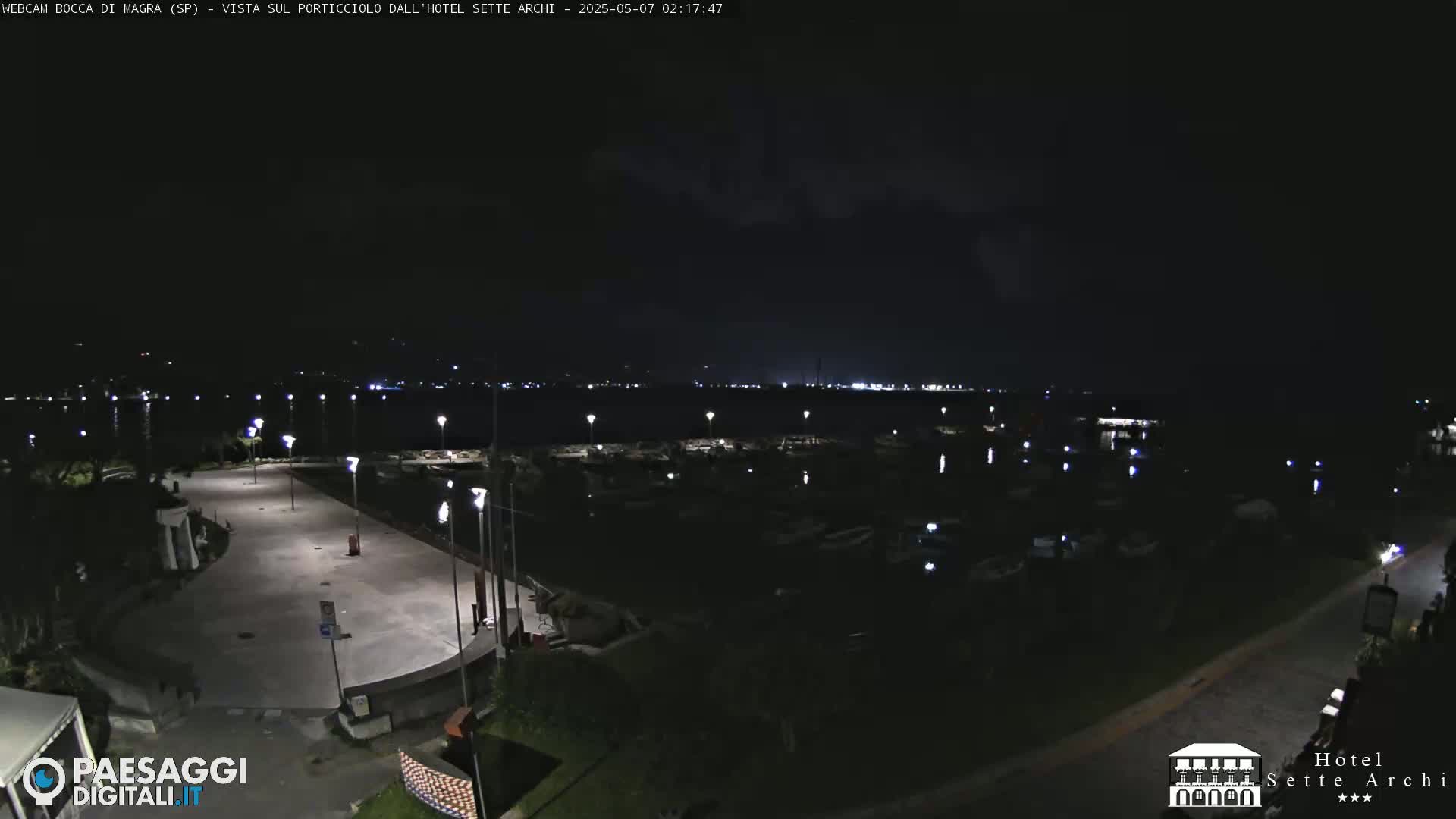 A nighttime view of a marina with many boats, an empty paved area, and some sparsely lit landscaping.