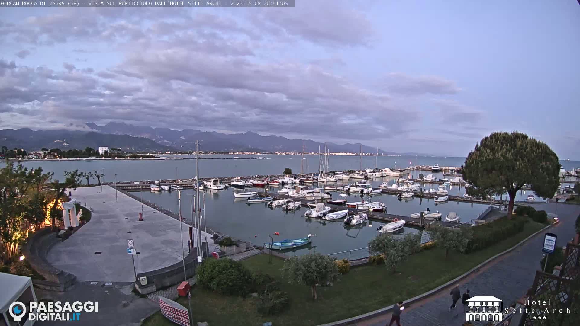 A mostly cloudy evening scene shows a marina filled with numerous boats, a paved area, and a tree, all overlooking calm water with mountains in the distance.