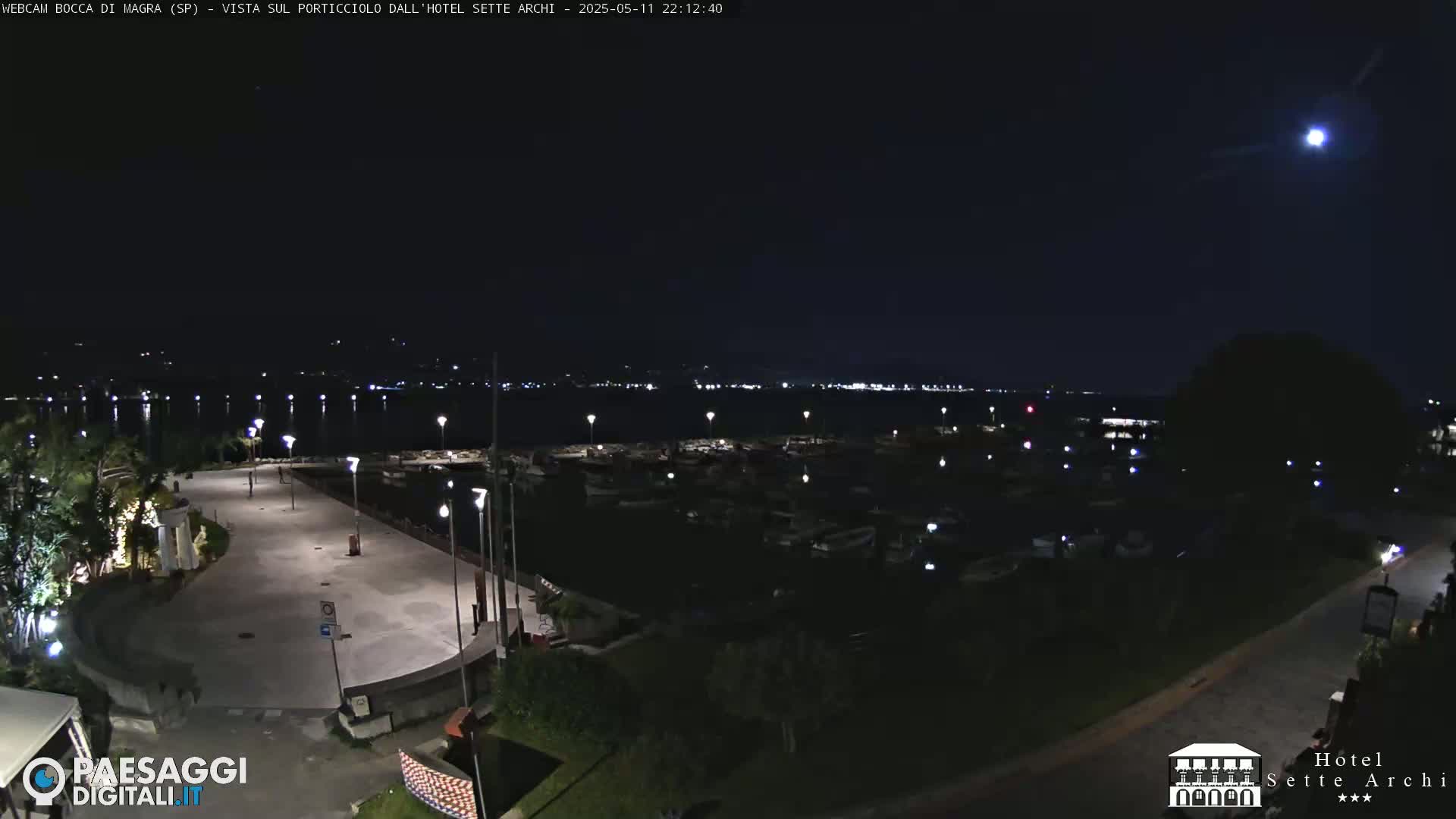 A nighttime view of a marina with boats, a paved waterfront area, and distant lights across the water under a bright moon.
