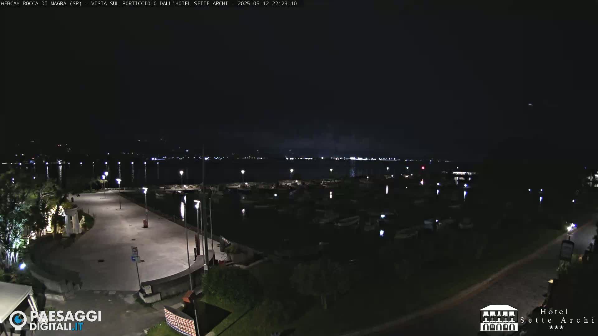 A nighttime view of a harbor filled with boats, a paved waterfront area with lights, and surrounding dark vegetation under a clear, dark sky.