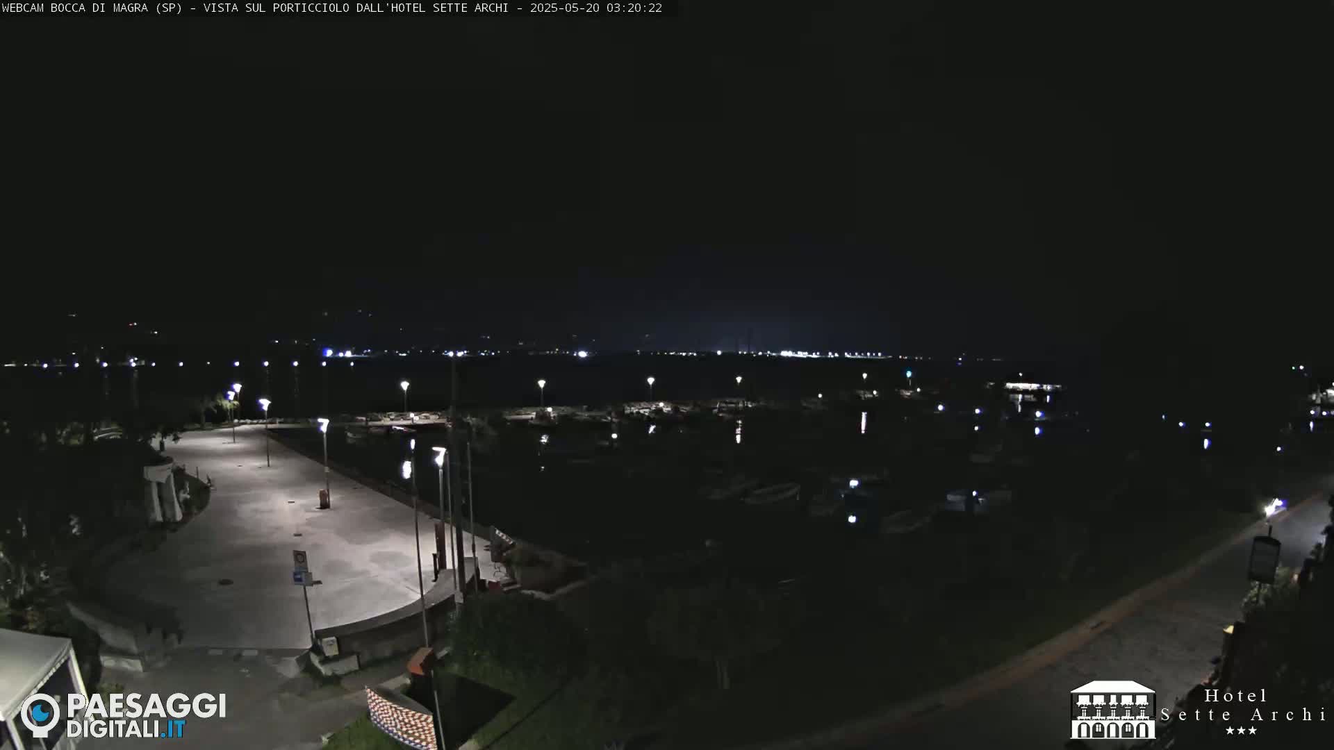 A nighttime view of a harbor with boats, a paved area, and streetlights, under a dark sky.
