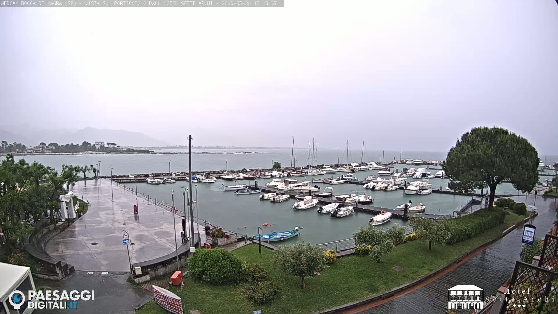 A wet marina filled with numerous boats is seen from an elevated vantage point on a cloudy day.