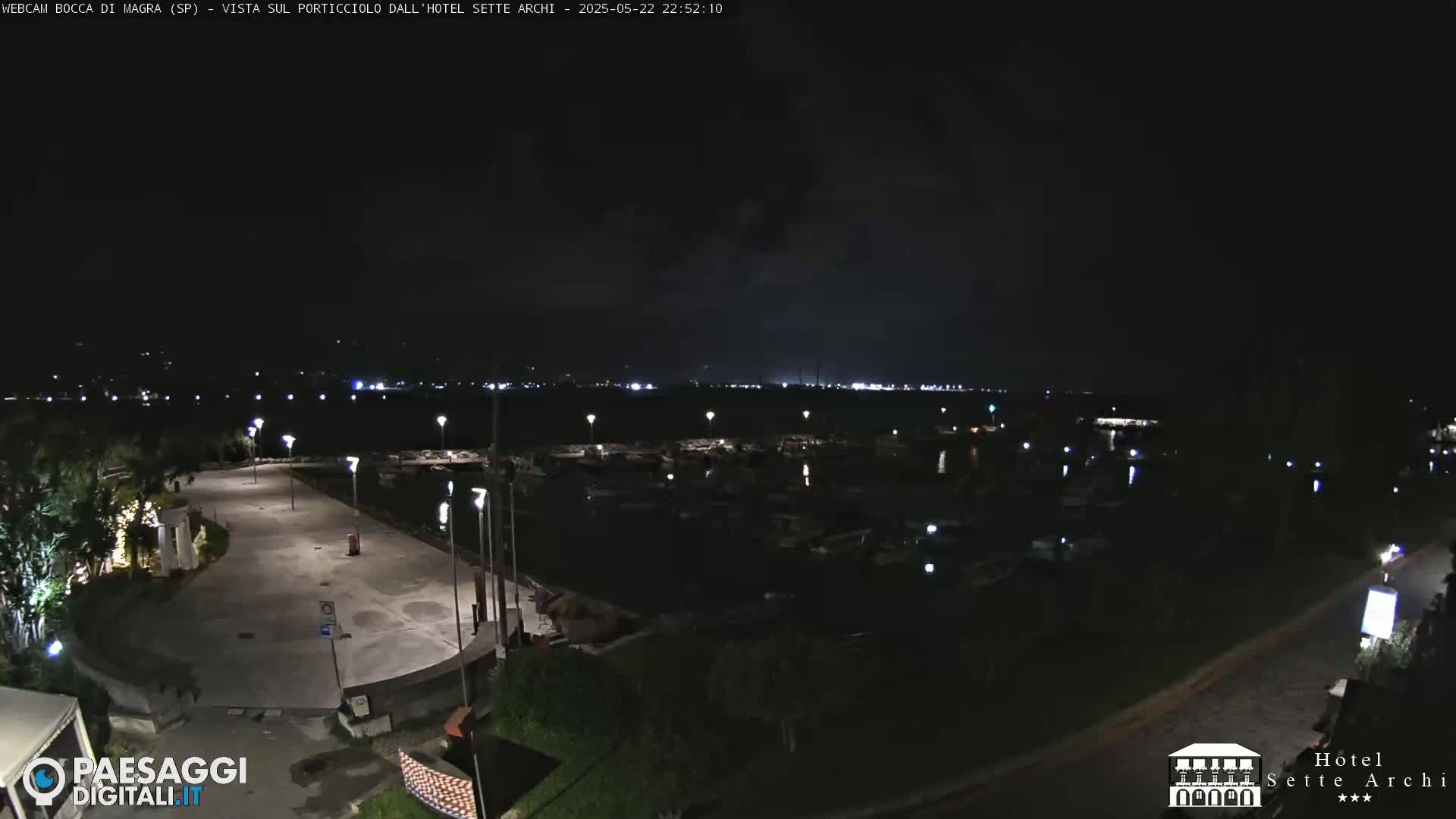 A nighttime view of a harbor filled with boats, a paved area with lights, and lush greenery, under a dark sky.