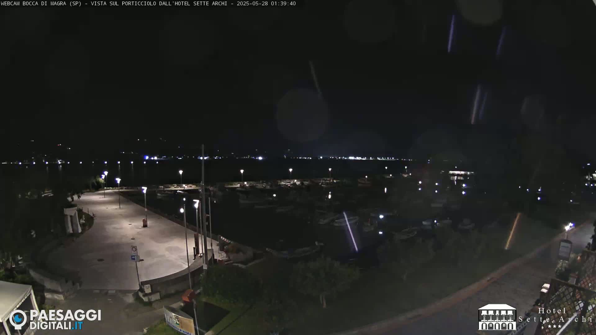 A nighttime view of a marina with boats docked, a paved area with lights, and a dark body of water beyond.