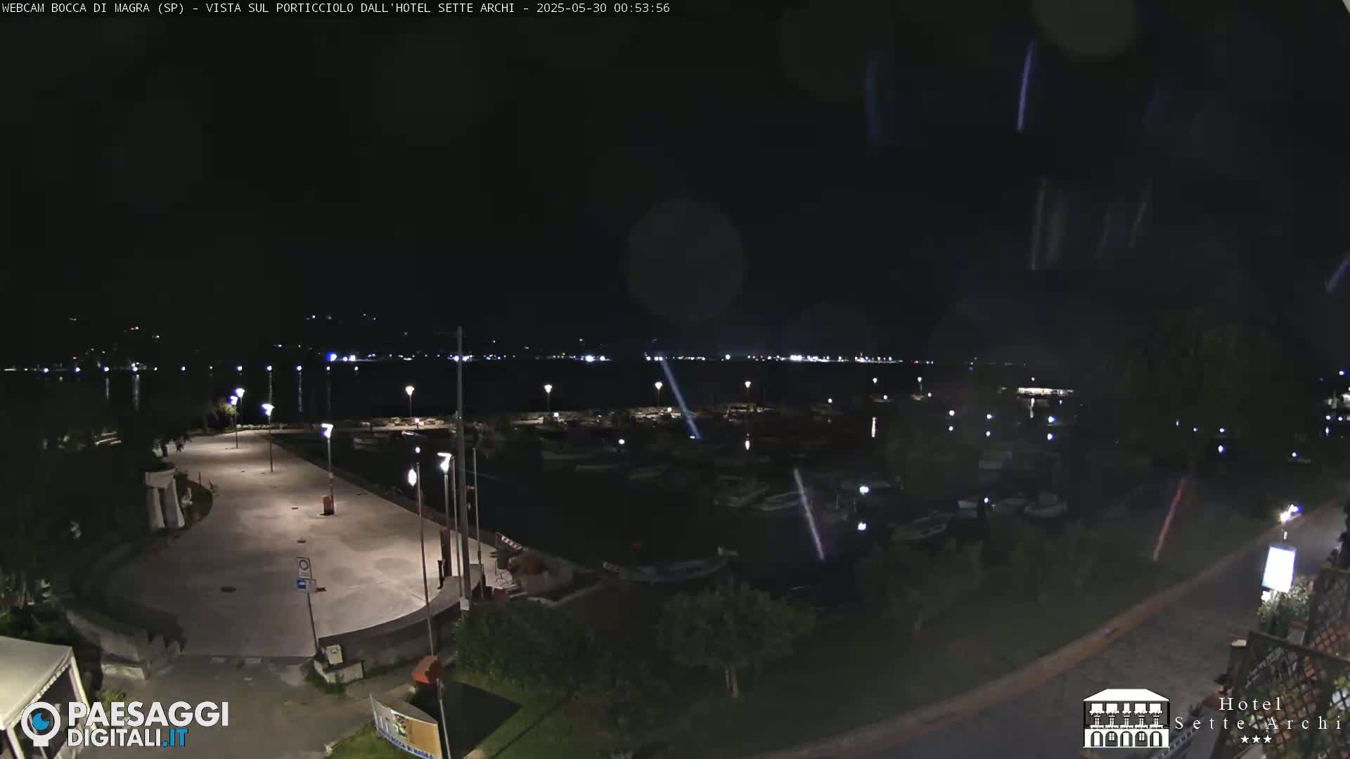 A nighttime, high-angle view shows a harbor filled with boats, a paved waterfront area with lights, and the dark silhouette of trees.