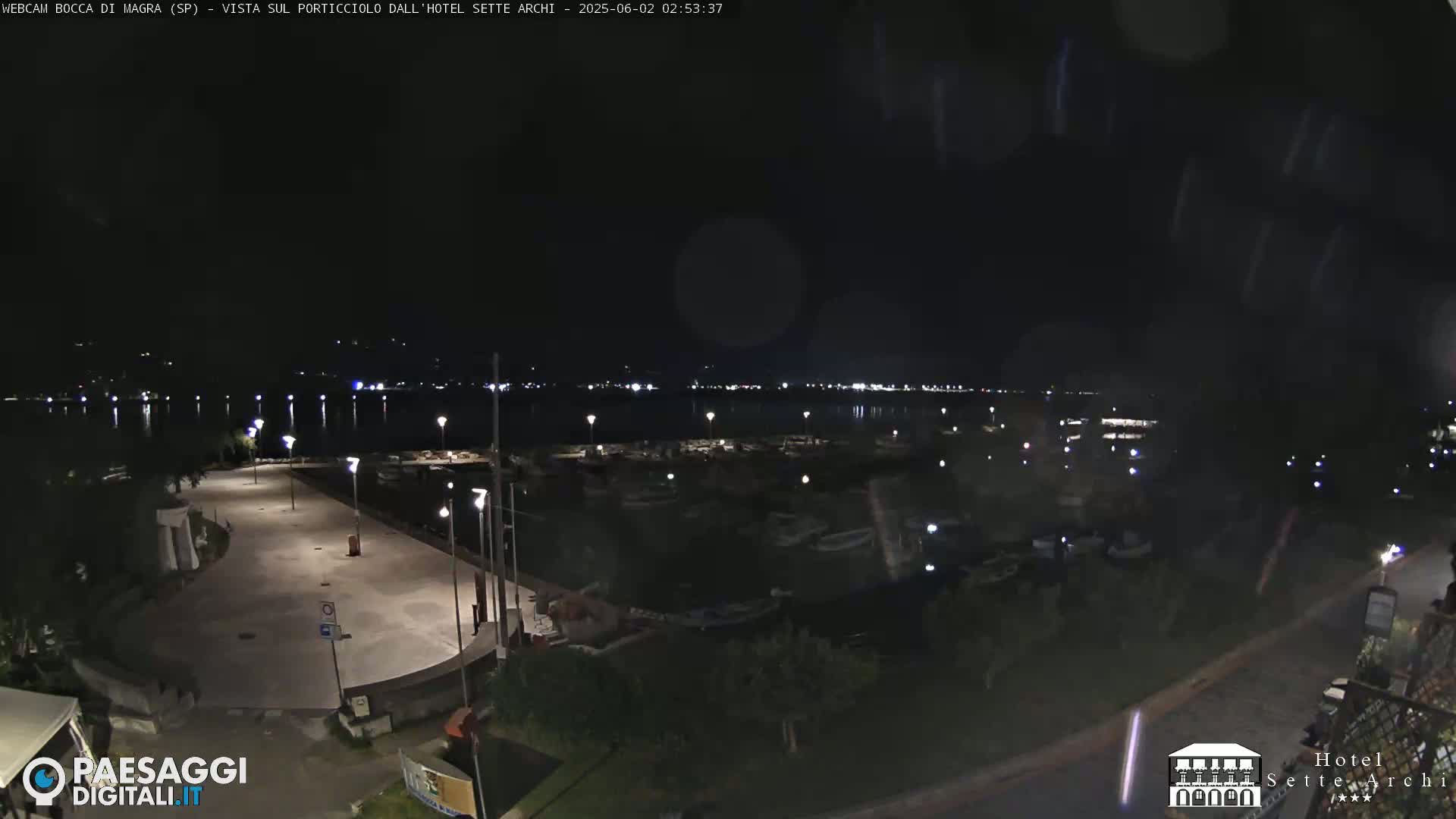 A nighttime view of a harbor with boats, a paved walkway, and distant lights across the water.