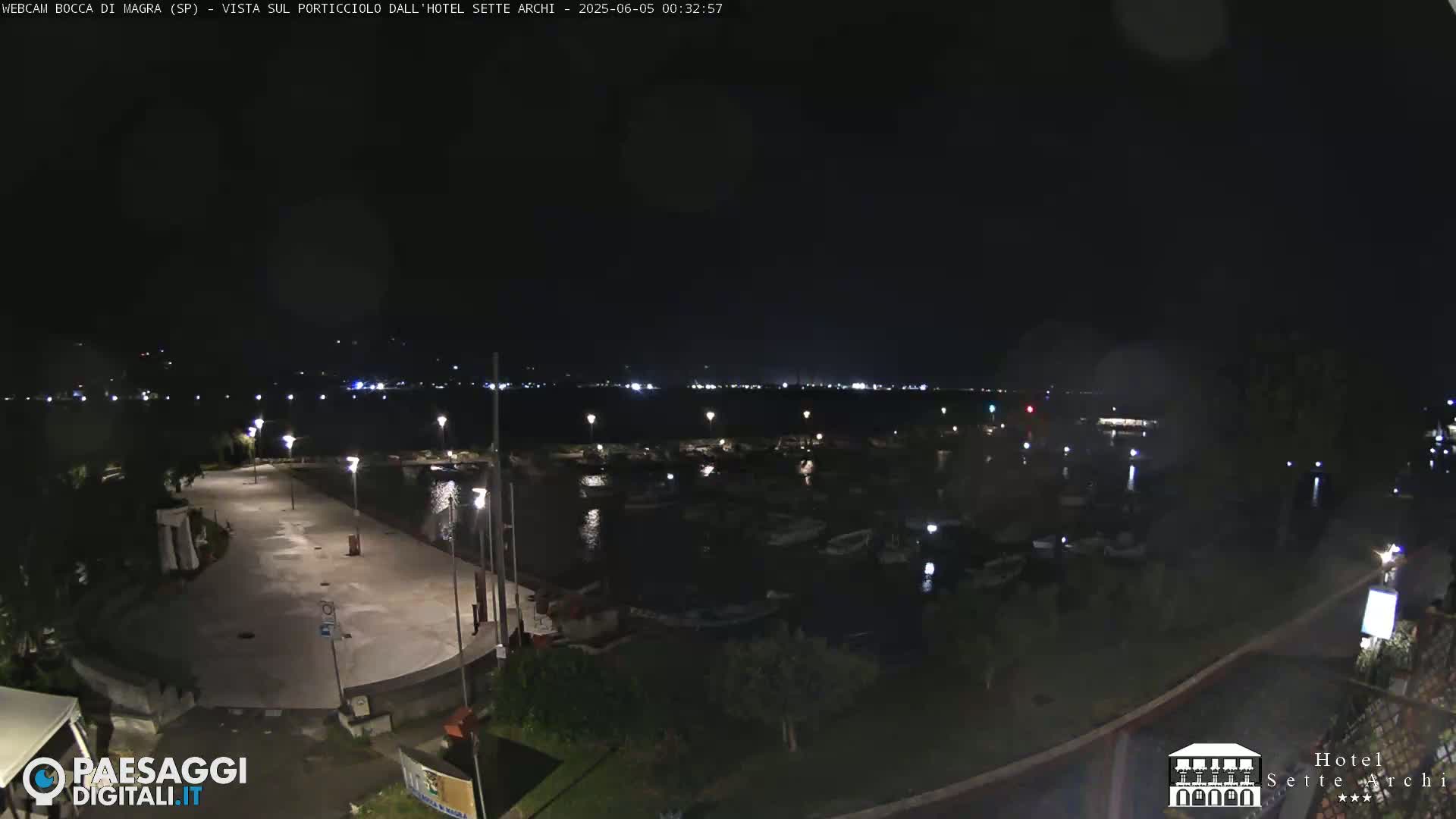 A nighttime view of a harbor filled with boats, illuminated by streetlights, with a dark, clear sky.