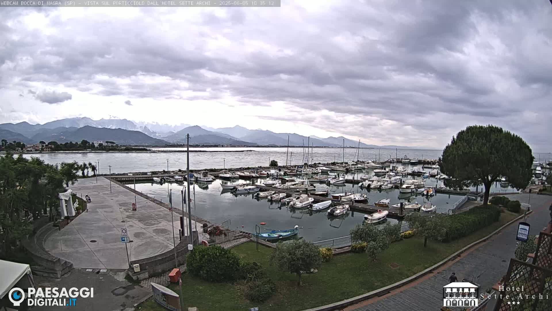 A harbor filled with numerous boats is situated near a paved area and a tree, all under a cloudy sky with mountains visible in the distance.