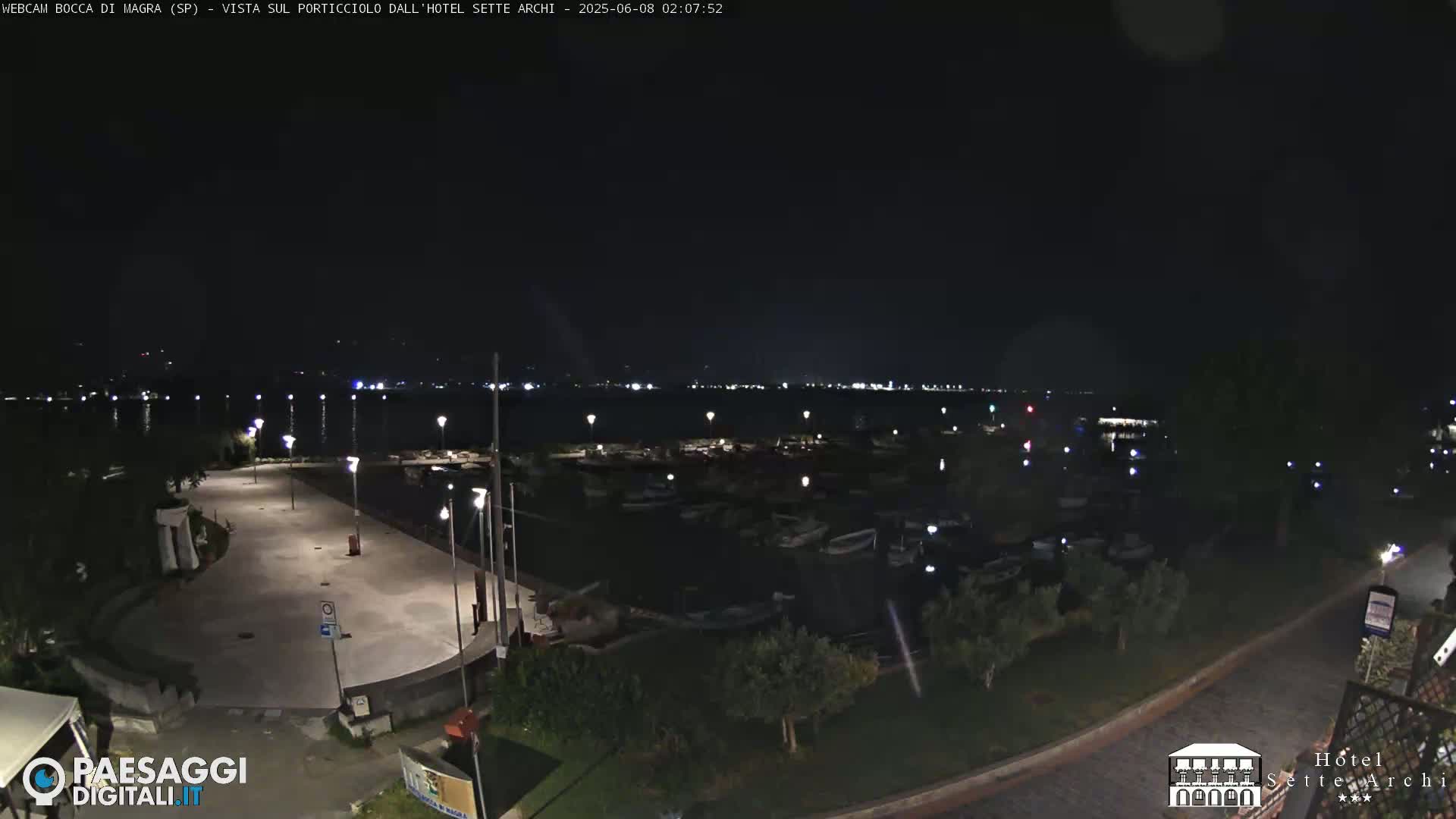 A nighttime view of a harbor filled with boats, a paved area with lights, and surrounding greenery under a clear, dark sky.