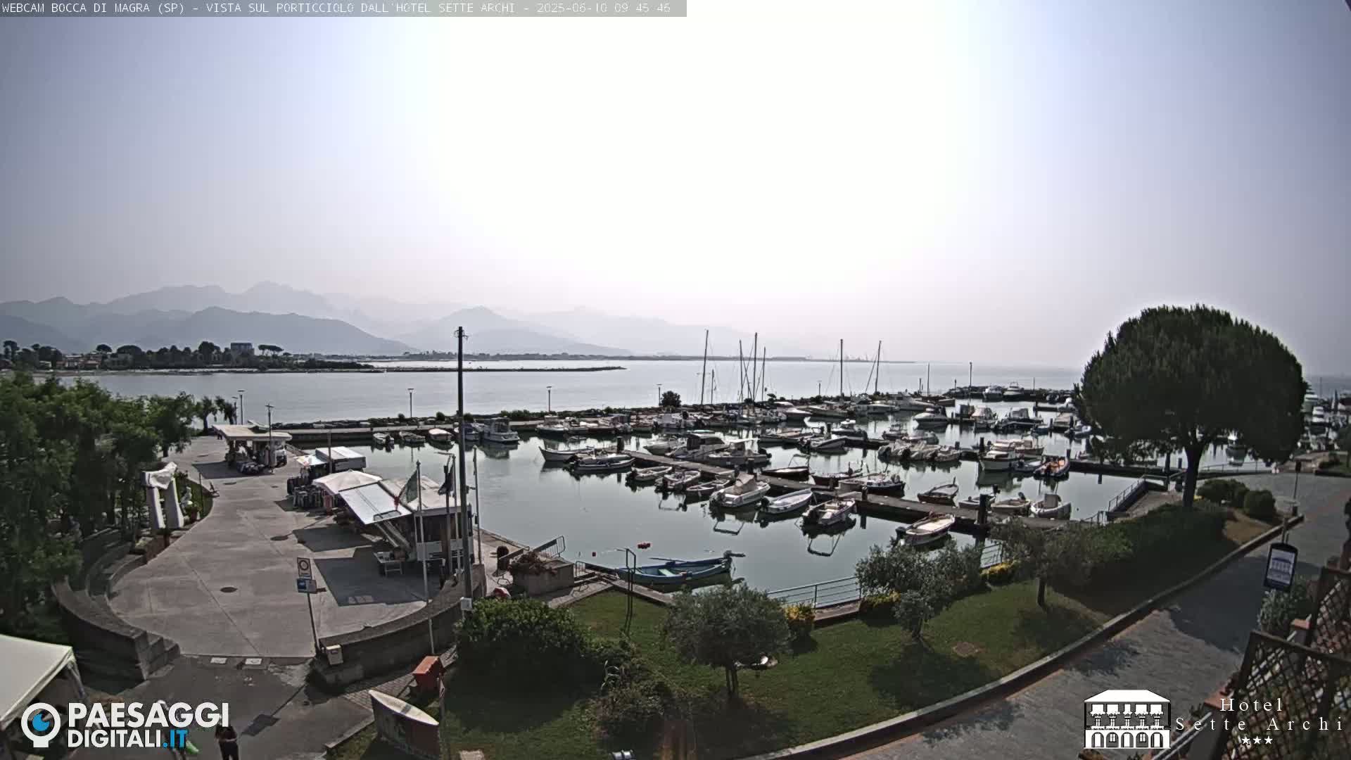 A sunny harbor filled with numerous boats is situated near a waterfront area with landscaping and a large tree, all backed by a hazy mountain range in the distance.