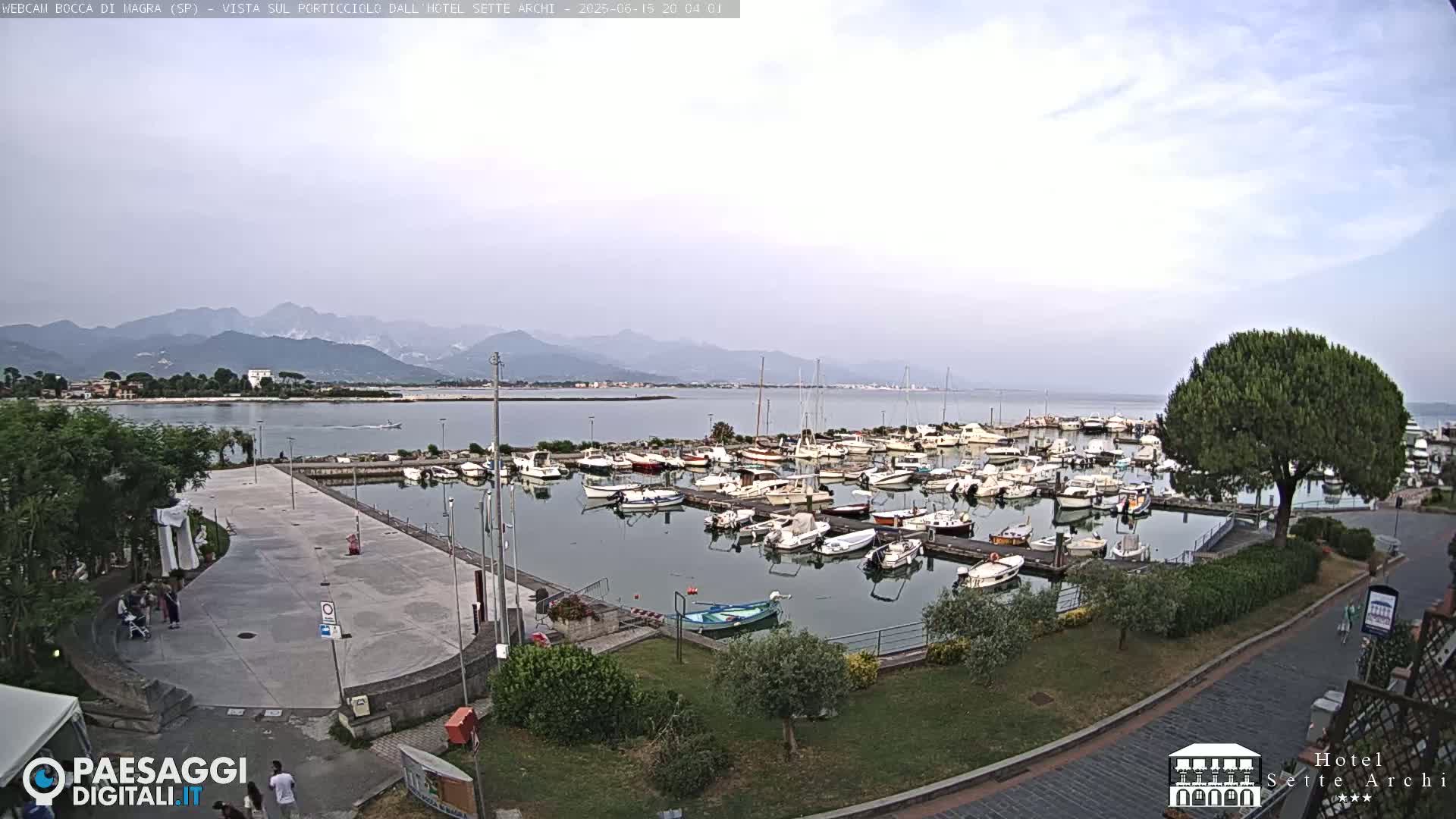 A marina filled with numerous boats is situated near a paved area and a tree, with mountains visible in the background under a mostly cloudy sky.