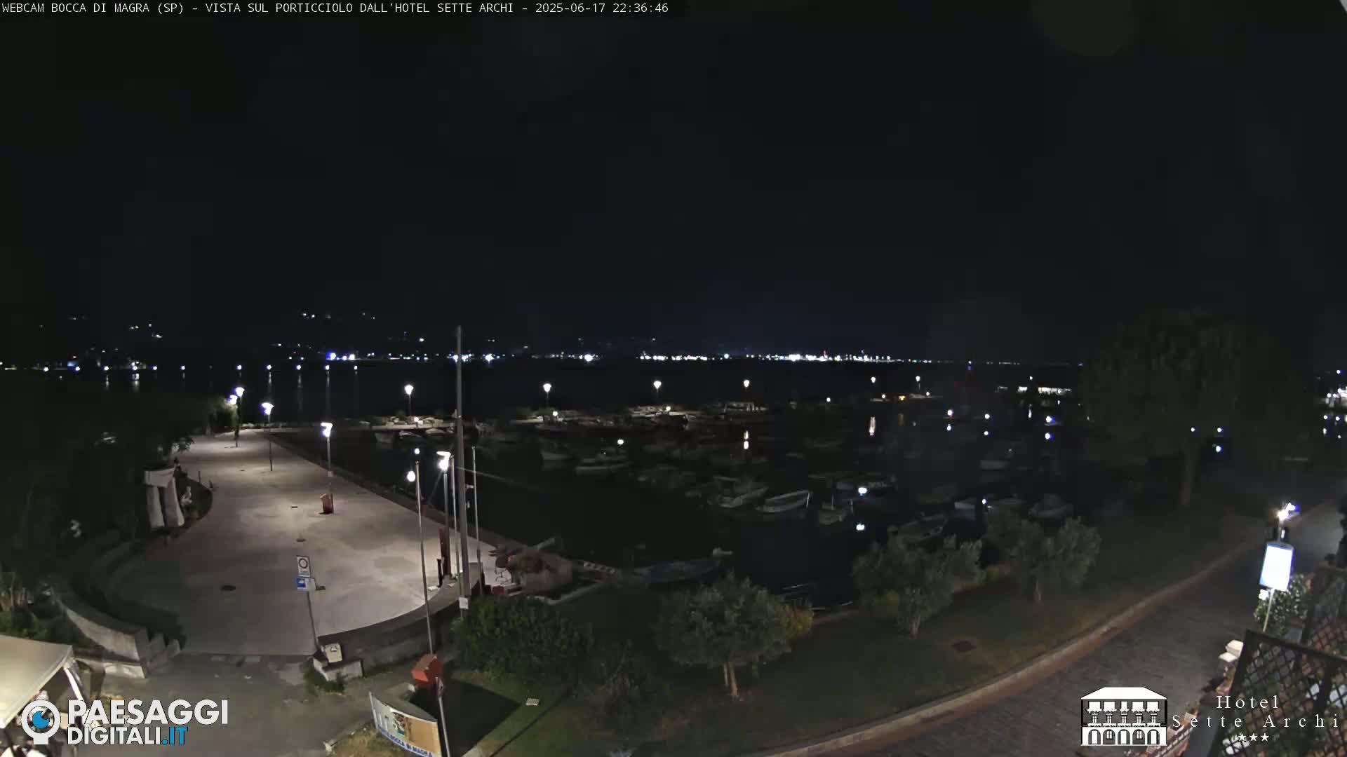 A nighttime view of a harbor filled with boats, a paved waterfront area, and streetlights illuminating the scene under a clear, dark sky.