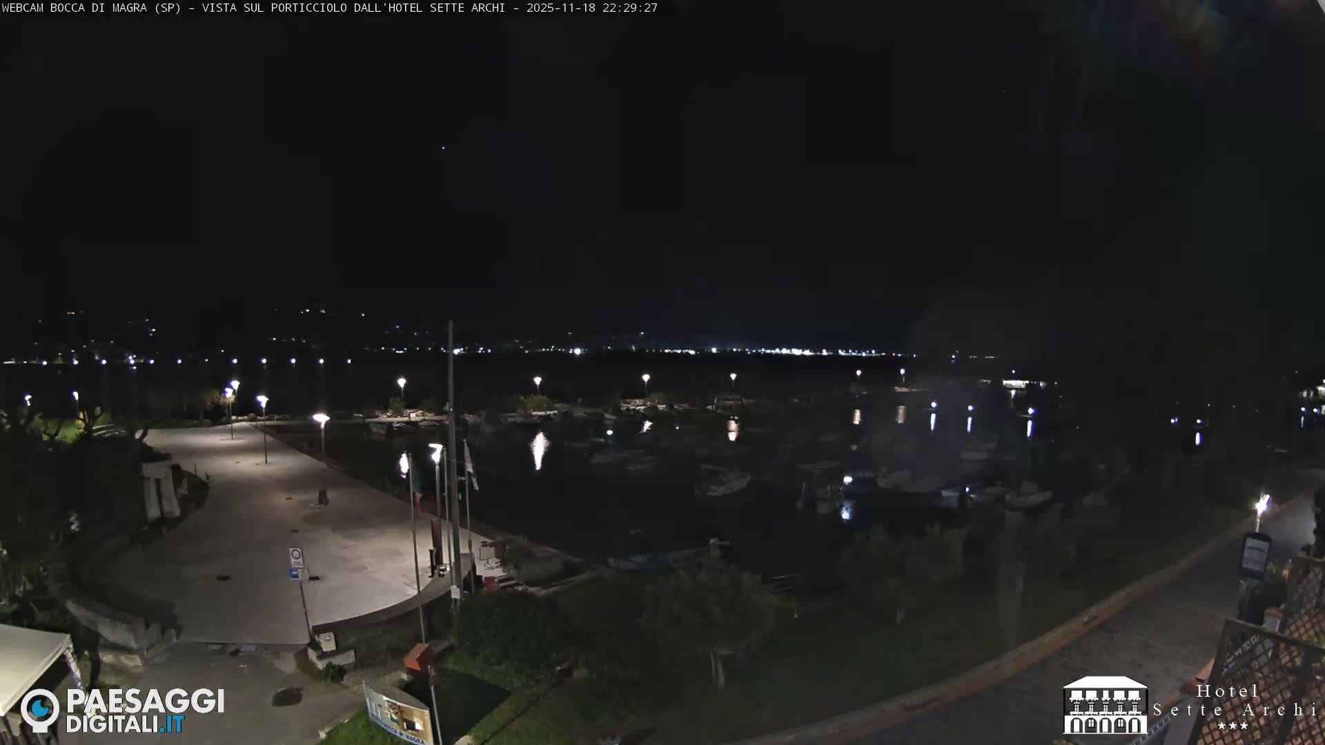 A clear night showcases a well-lit marina filled with docked boats, a waterfront promenade, and distant city lights reflecting across the calm water.