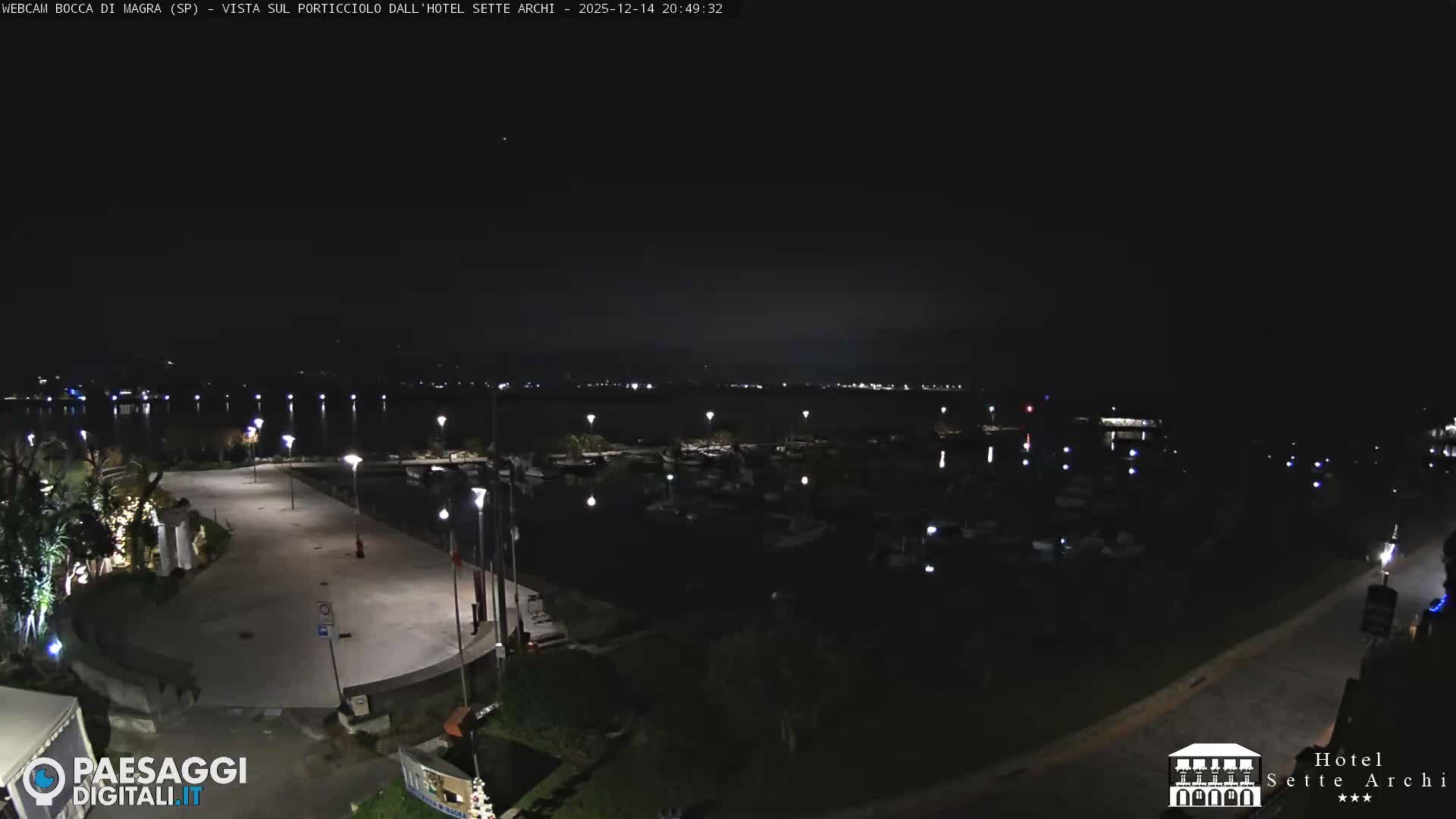 A wide view captures a bustling marina filled with boats on a calm body of water, flanked by a paved waterfront and distant, hazy mountains with some snow-capped peaks under an overcast sky.