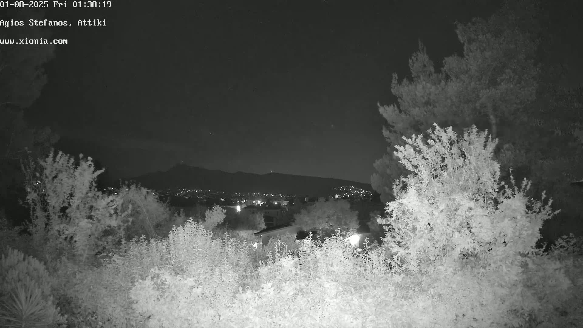 A nighttime view shows a dark sky above a line of shrubs, beyond which are distant city lights and a mountain range under a clear, dark sky.