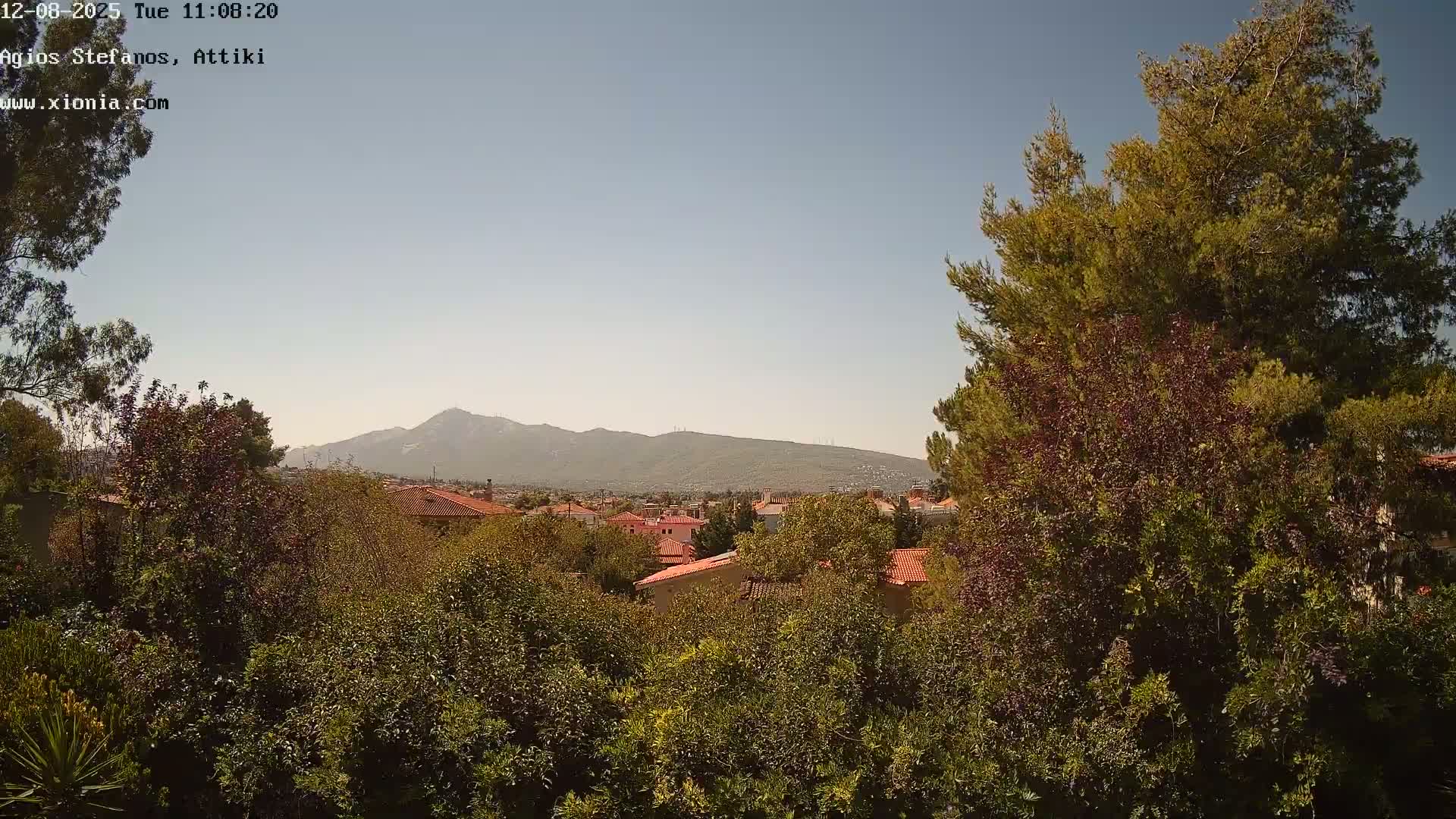 A view of a town nestled amongst green trees and shrubs, with a mountain range visible in the background under a clear, sunny sky.