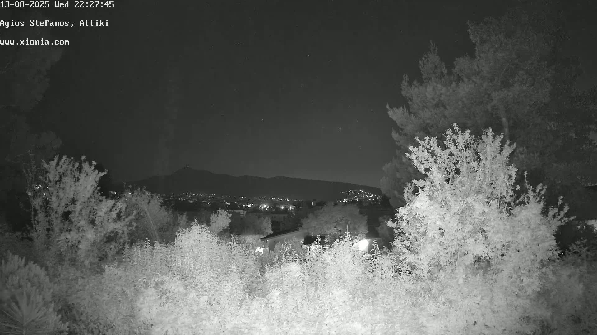 A nighttime view through bushes shows a distant city with lights nestled below a mountain range under a clear, starry sky.