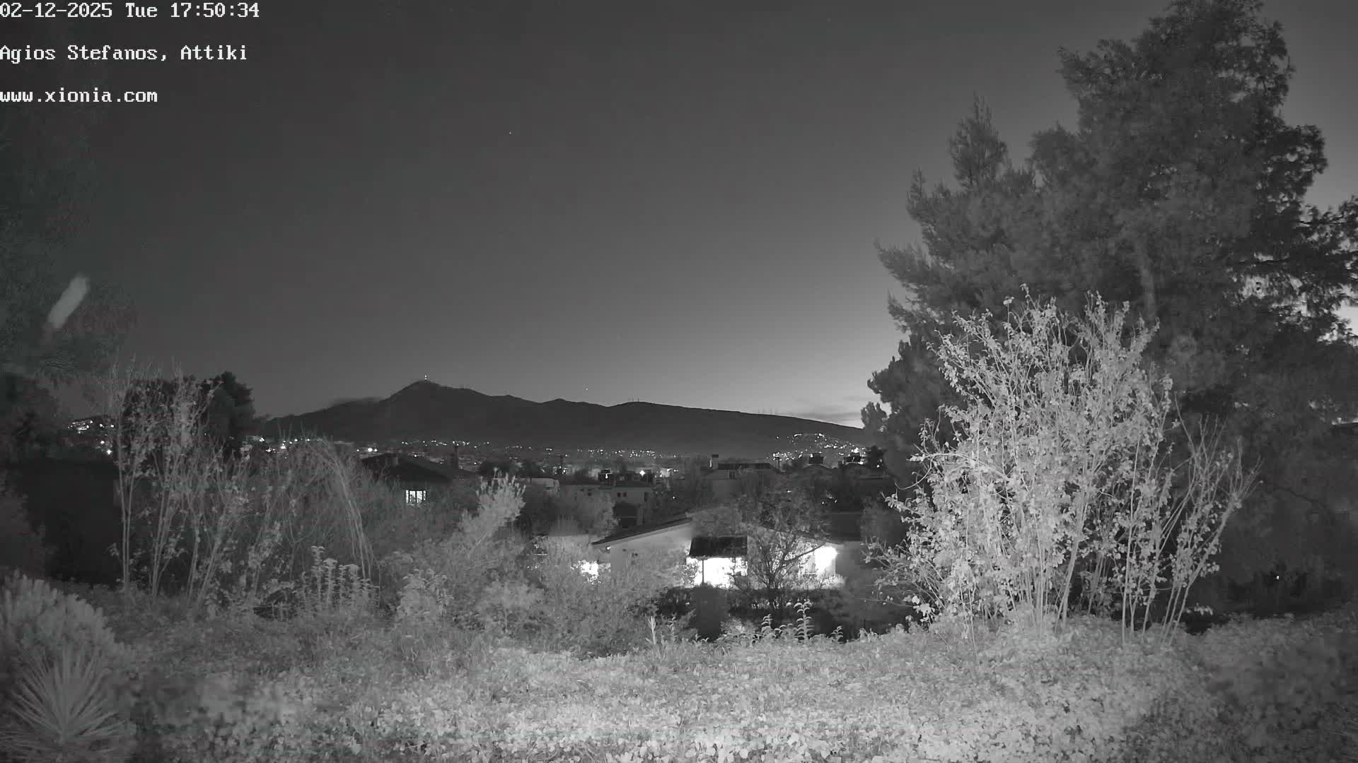 A clear night is depicted in a monochromatic (infrared) outdoor view, featuring dense foliage and tall trees in the foreground, a town with scattered lights in the middle ground, and dark mountains under a clear sky.