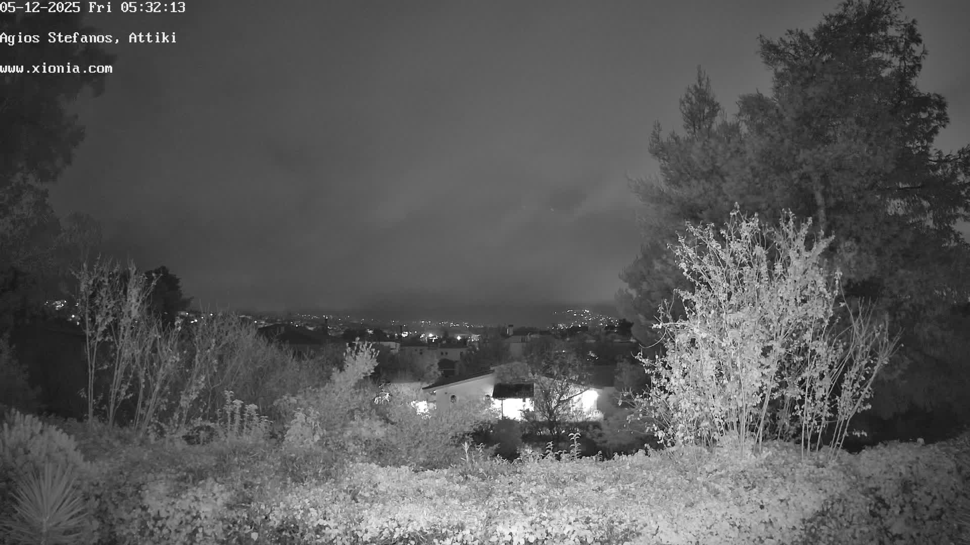 A clear night is depicted in a monochromatic (infrared) outdoor view, featuring dense foliage and tall trees in the foreground, a town with scattered lights in the middle ground, and dark mountains under a clear sky.
