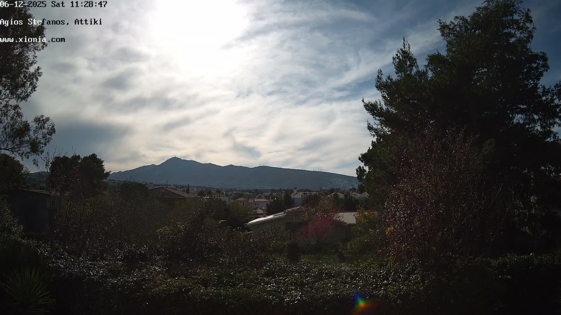 A partly cloudy sky looms over a distant mountain range and a town with numerous red-roofed houses, seen through a dense, dark green foreground of trees and bushes.
