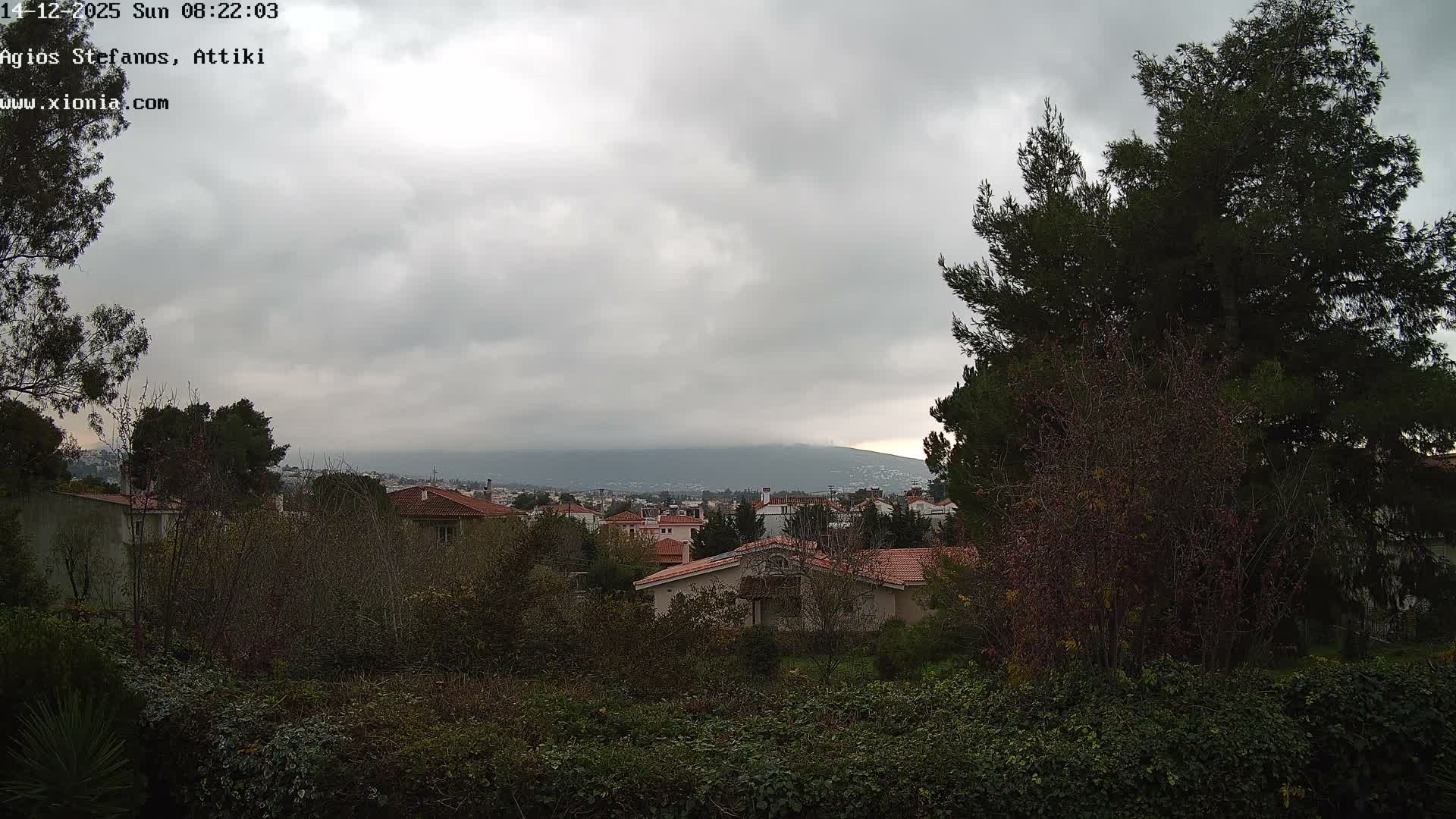Dionysos, Agios Stefanos Skyline & Mount Pentelicus (Pentéli Óros) Live Cam  - Dasos Kouremenou, Ágios Stéfanos, Diónysos, East Attica (Anatolikís Attikís) , Athens (Athína), Attica (Attikí), Greece