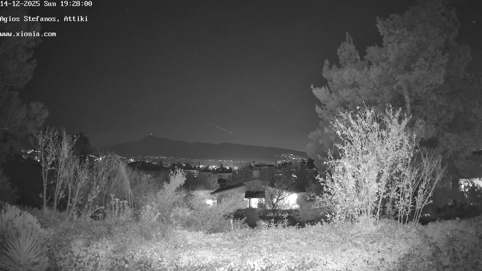 A partly cloudy sky looms over a distant mountain range and a town with numerous red-roofed houses, seen through a dense, dark green foreground of trees and bushes.