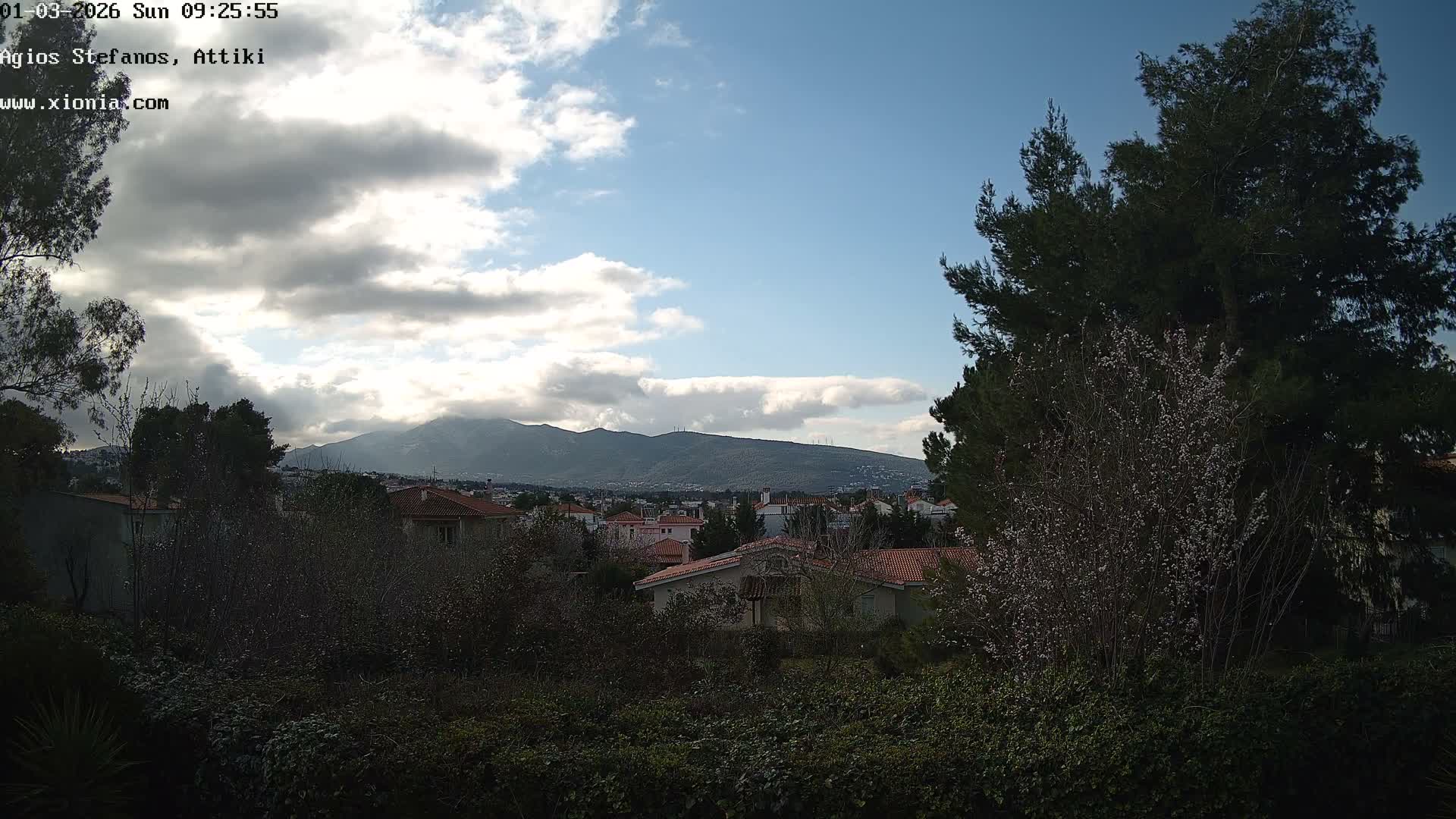 Dionysos, Agios Stefanos Skyline & Mount Pentelicus (Pentéli Óros) Live Cam  - Dasos Kouremenou, Ágios Stéfanos, Diónysos, East Attica (Anatolikís Attikís) , Athens (Athína), Attica (Attikí), Greece