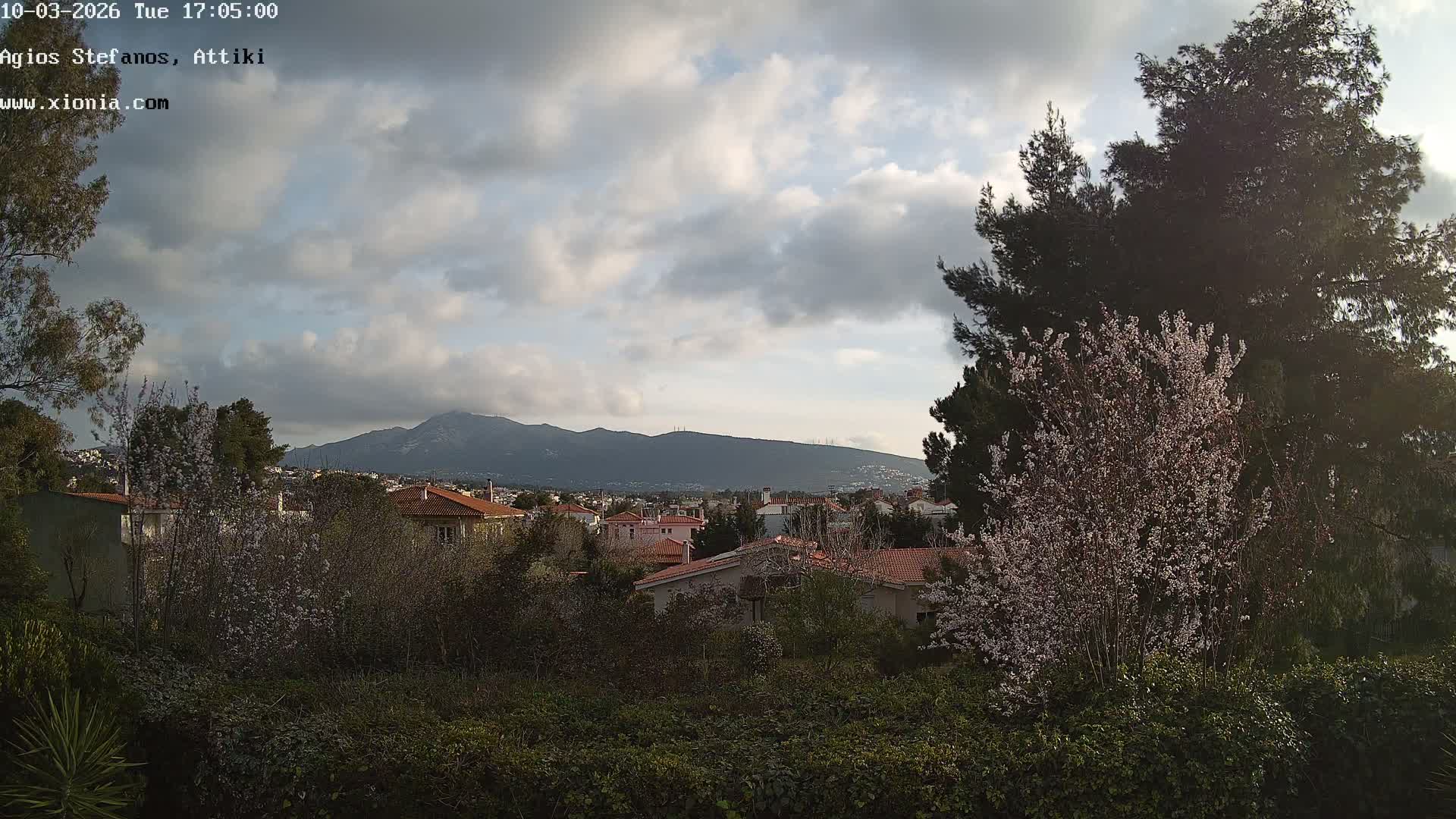 Dionysos, Agios Stefanos Skyline & Mount Pentelicus (Pentéli Óros) Live Cam  - Dasos Kouremenou, Ágios Stéfanos, Diónysos, East Attica (Anatolikís Attikís) , Athens (Athína), Attica (Attikí), Greece